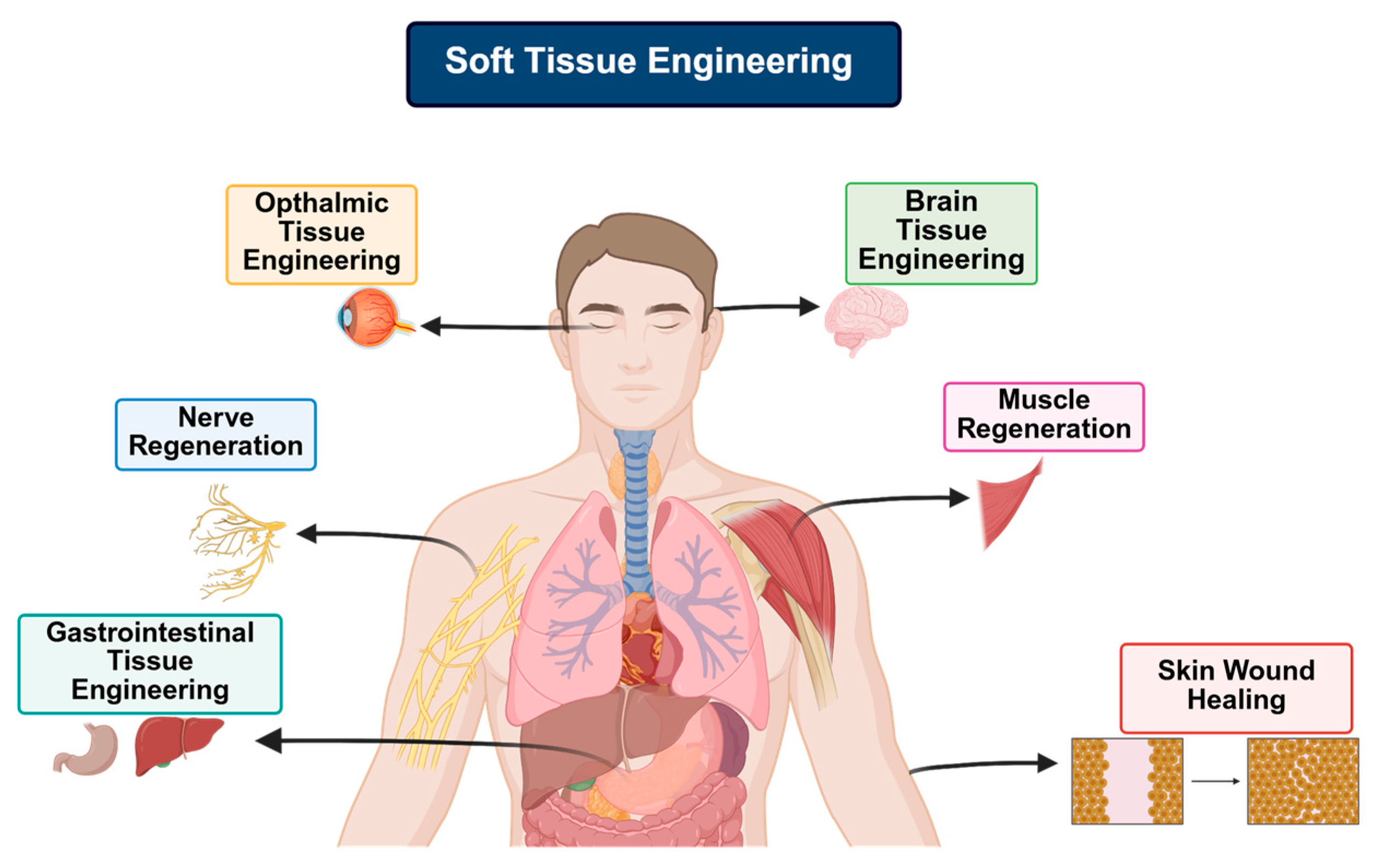 Polymers 17 03231 g003 Polymers 17 03231 g003
