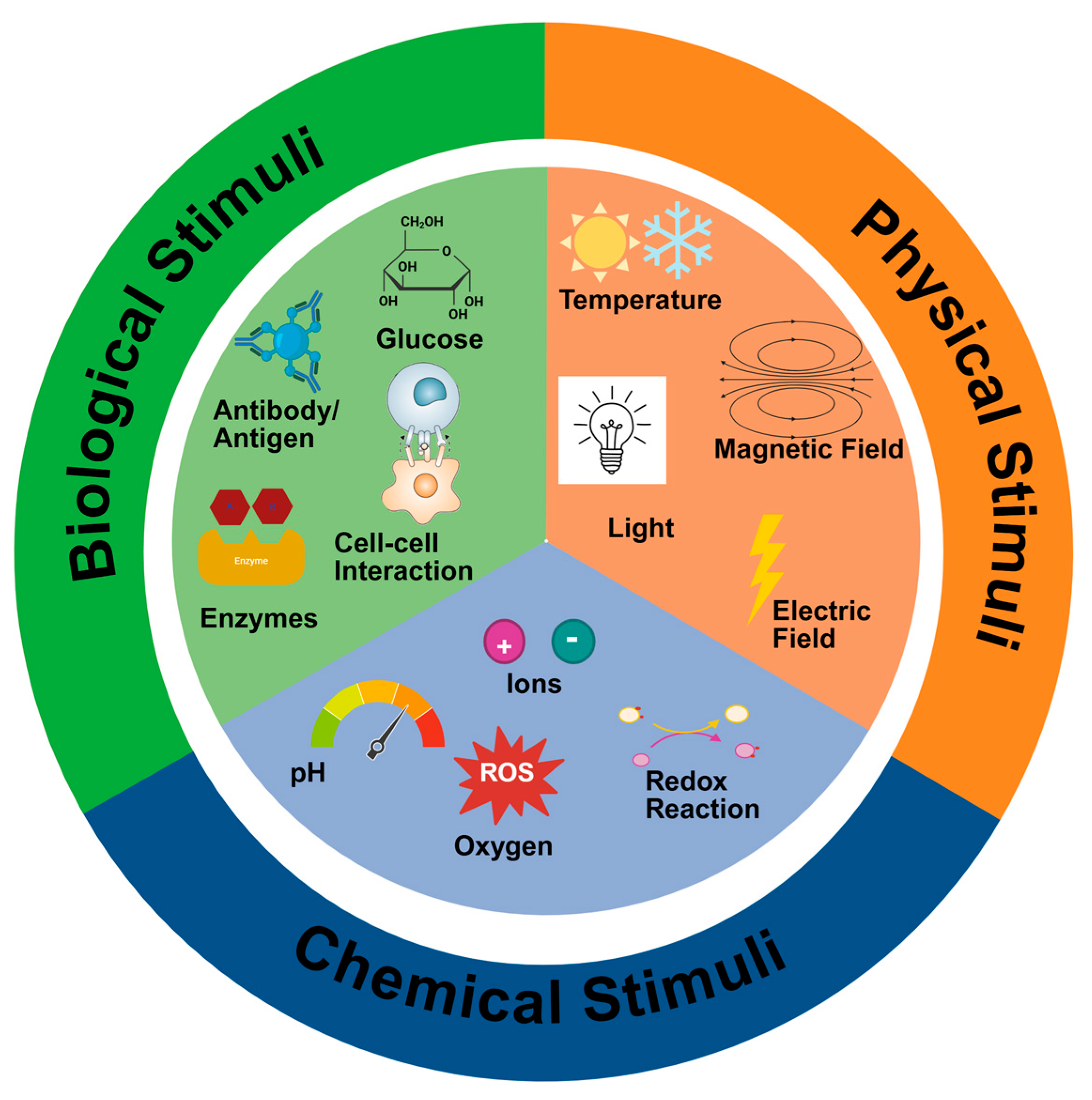 Polymers 17 03231 g007 Polymers 17 03231 g007
