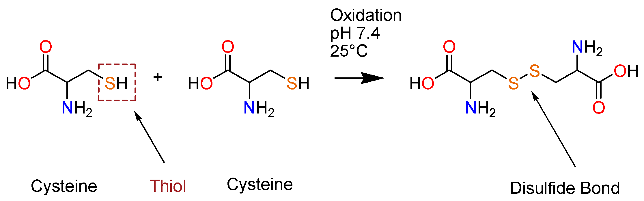 Polymers 17 03231 sch001 Polymers 17 03231 sch001