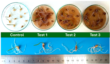 Polymers 17 03232 i004 Polymers 17 03232 i004
