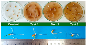 Polymers 17 03232 i005 Polymers 17 03232 i005