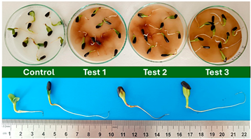 Polymers 17 03232 i006 Polymers 17 03232 i006