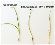 Polymers 17 03232 i008 Polymers 17 03232 i008