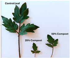 Polymers 17 03232 i010 Polymers 17 03232 i010