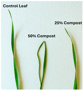 Polymers 17 03232 i011 Polymers 17 03232 i011