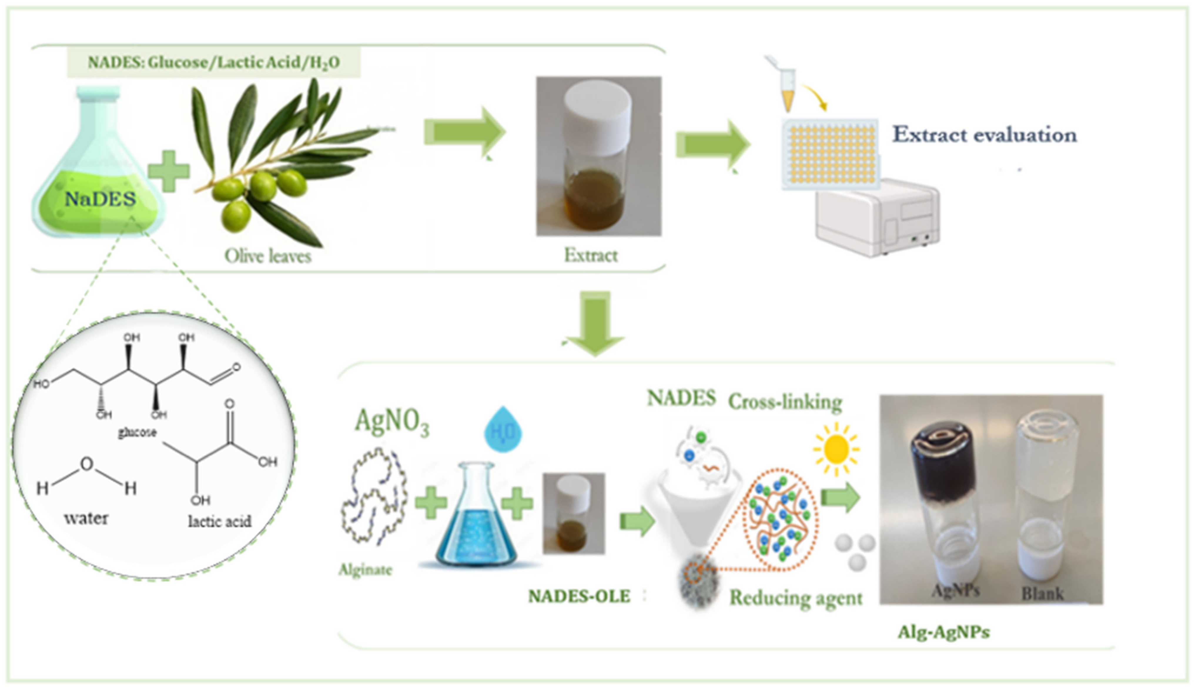Polymers 17 03234 g001