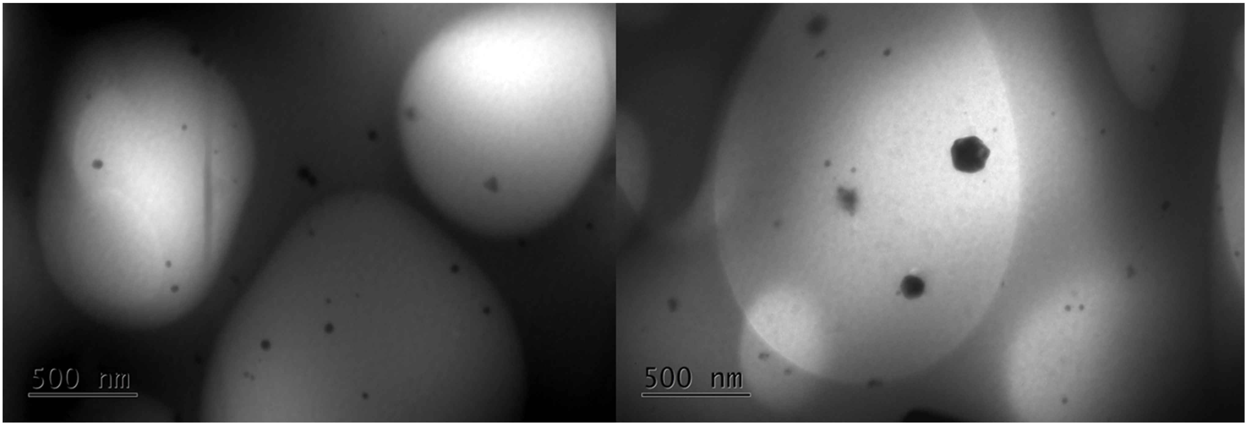 Polymers 17 03234 g009