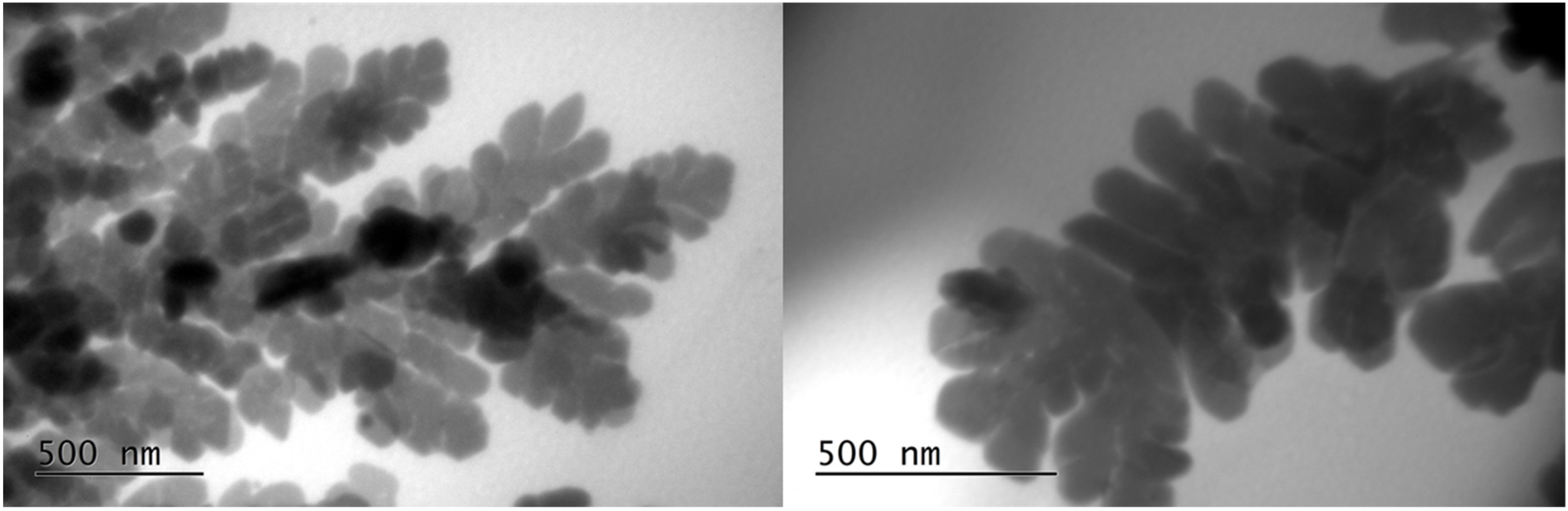 Polymers 17 03234 g010