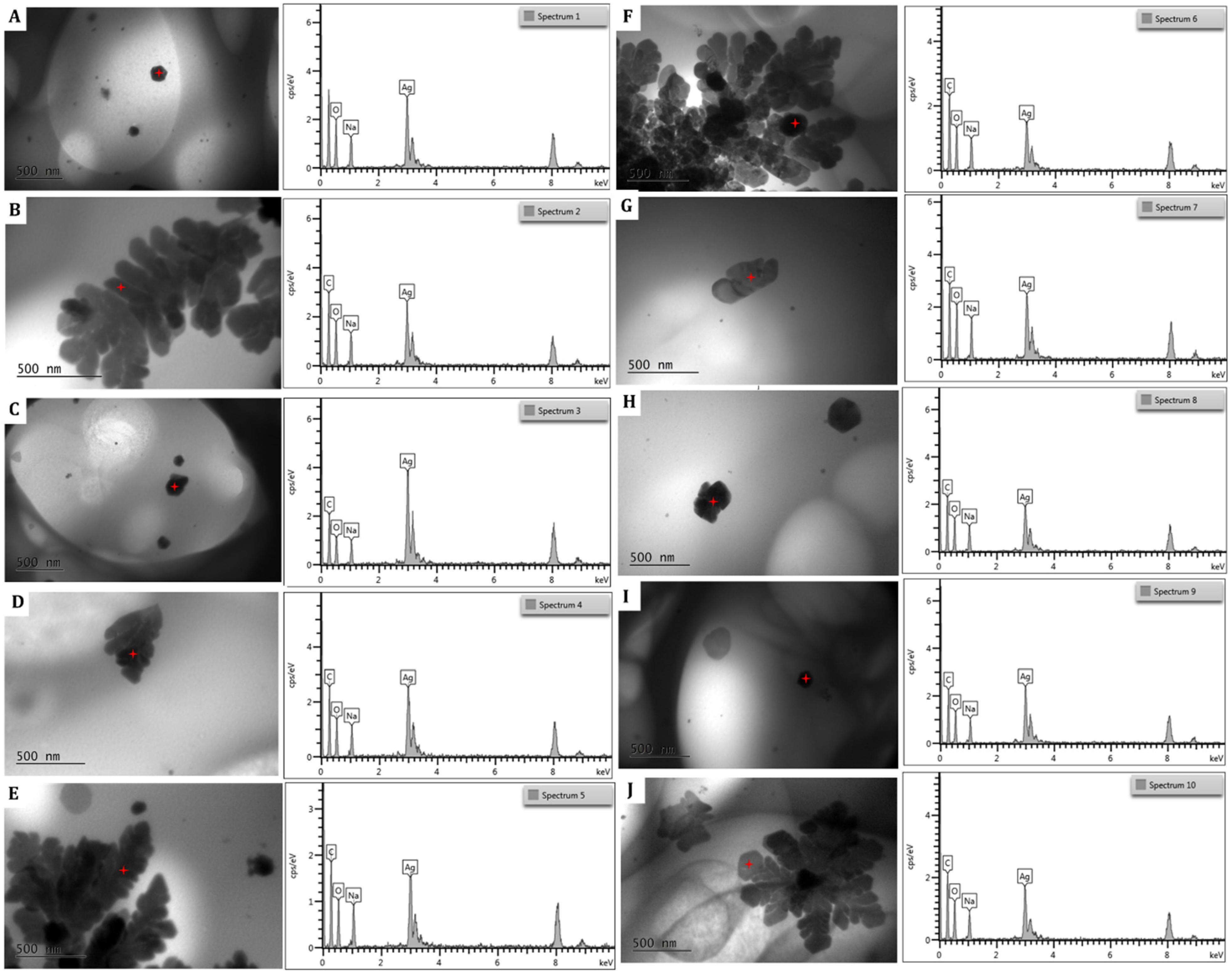 Polymers 17 03234 g011