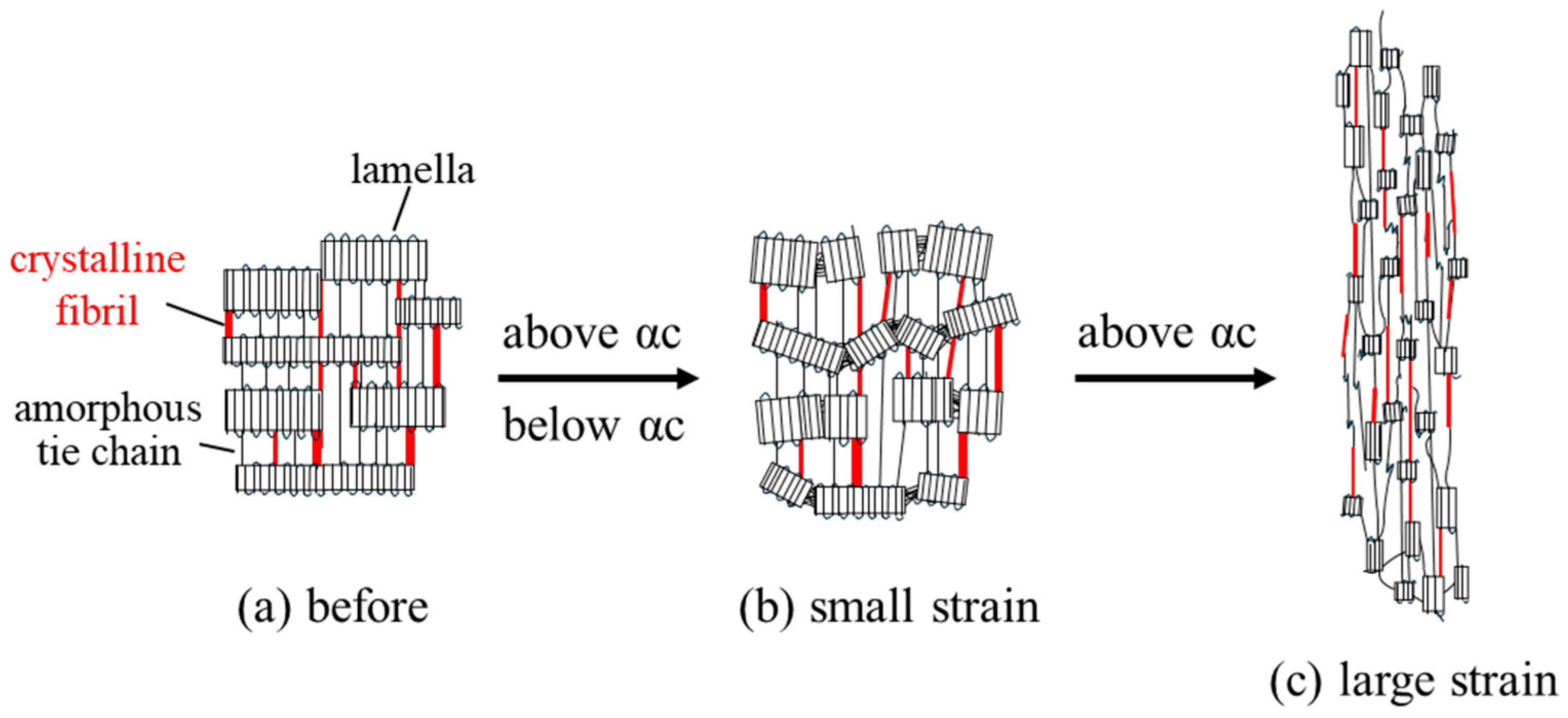 Polymers 17 03238 g009