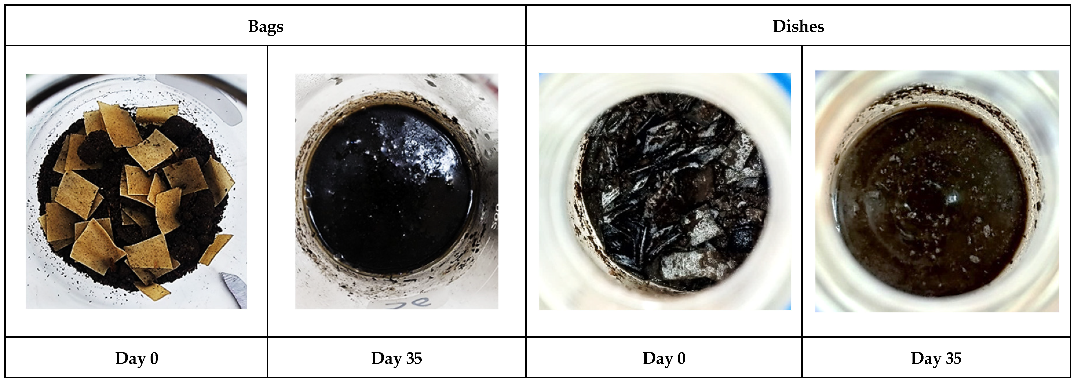 Polymers 17 03242 g002
