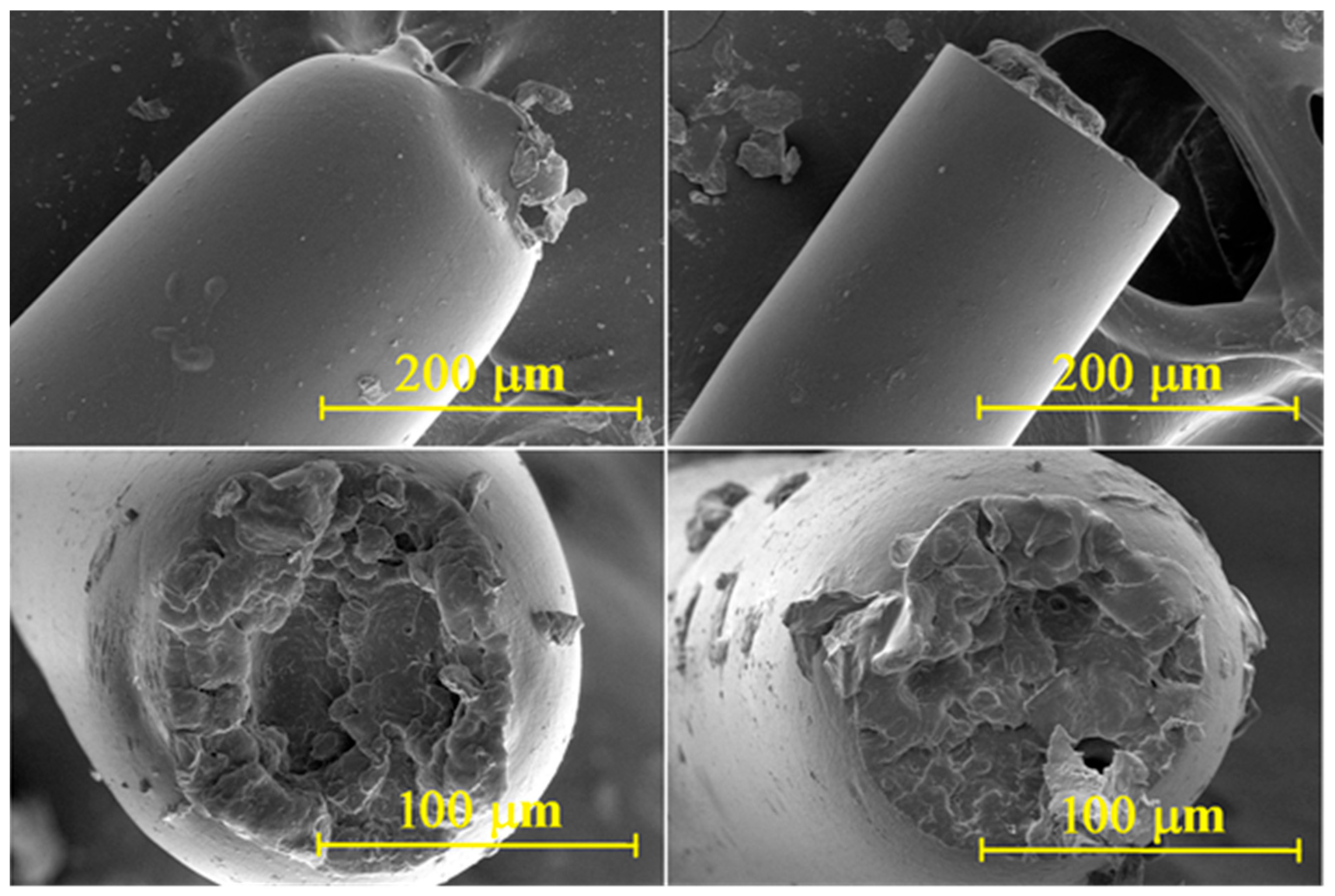 Polymers 17 03243 g004