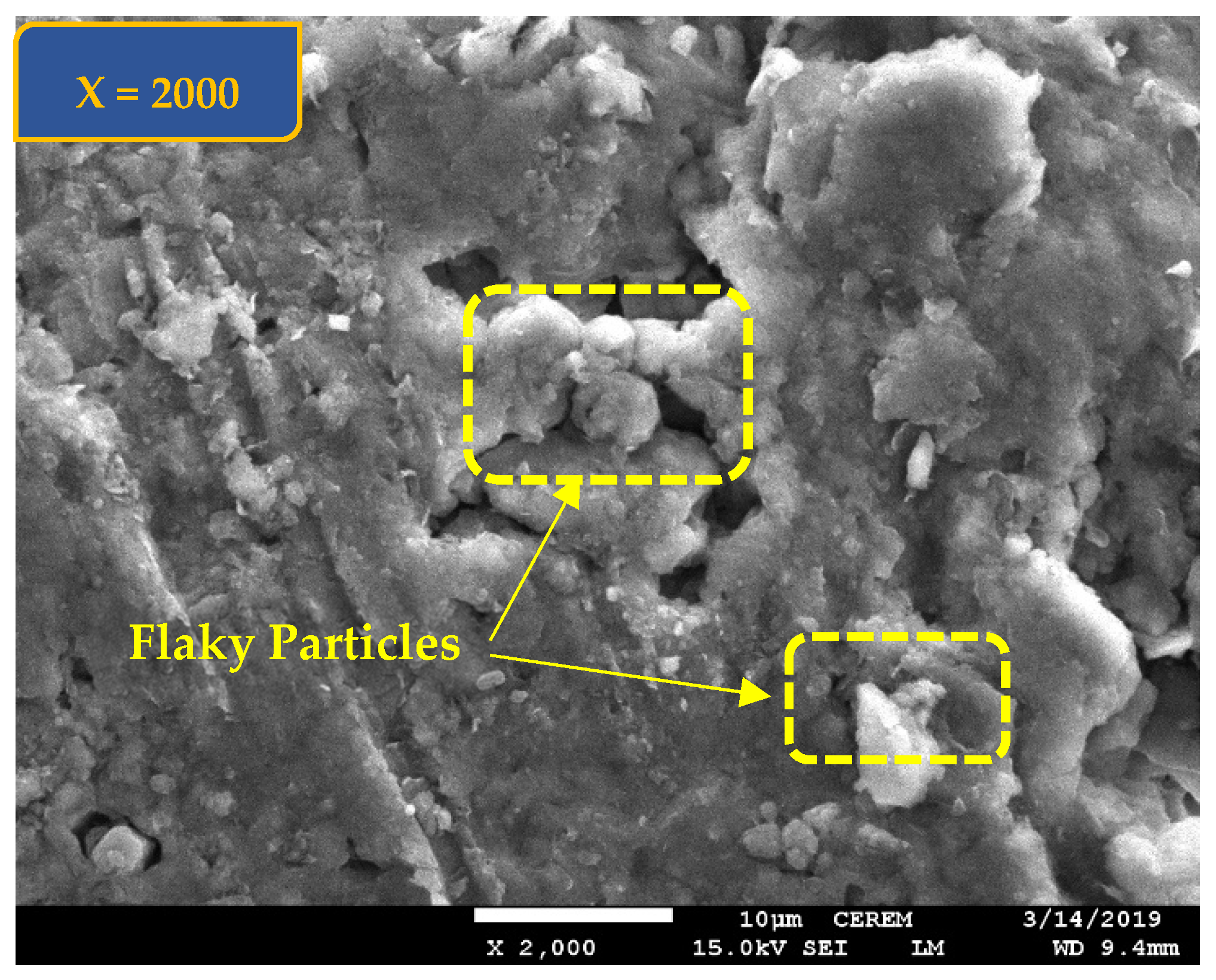 Polymers 17 03244 g004