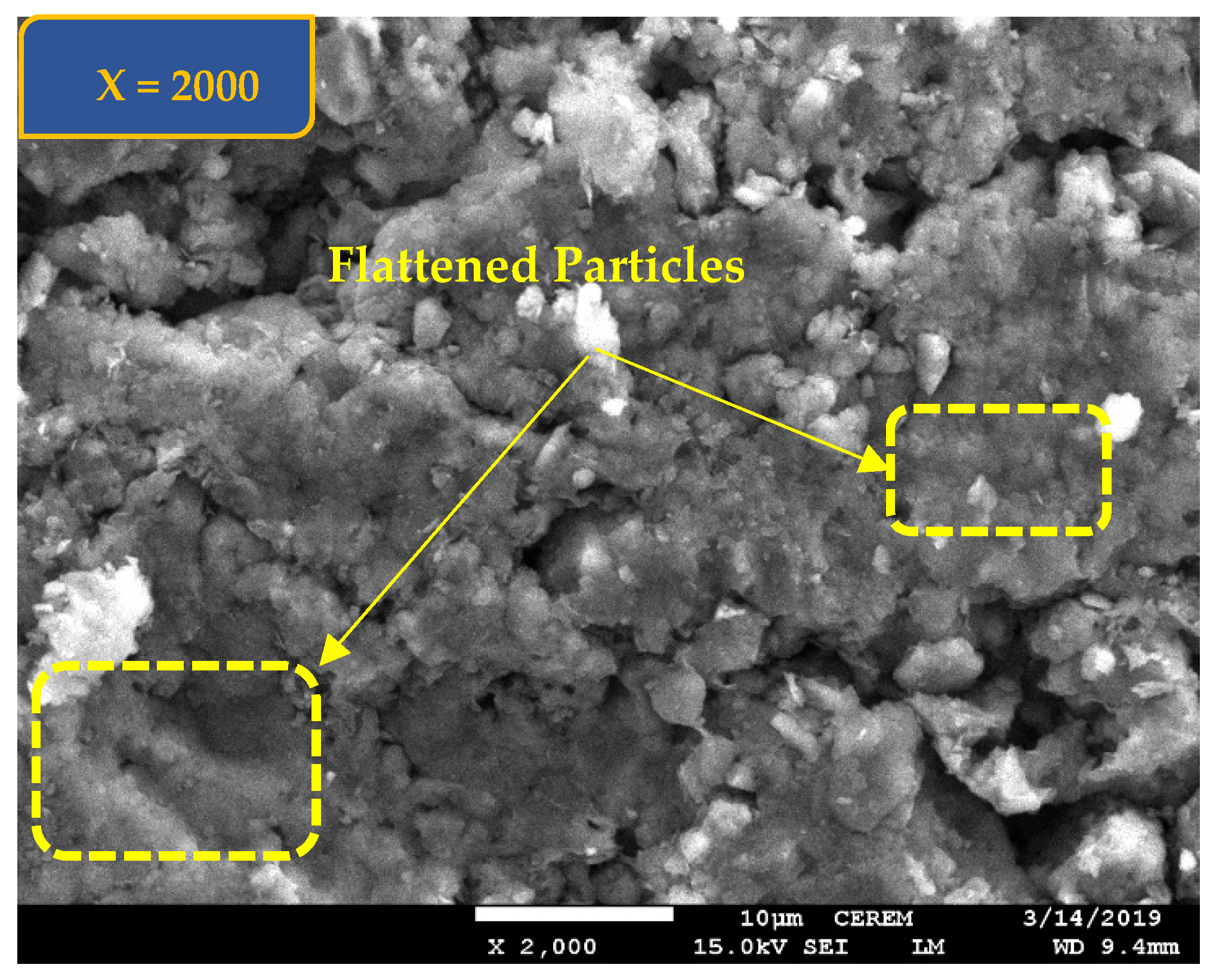 Polymers 17 03244 g005