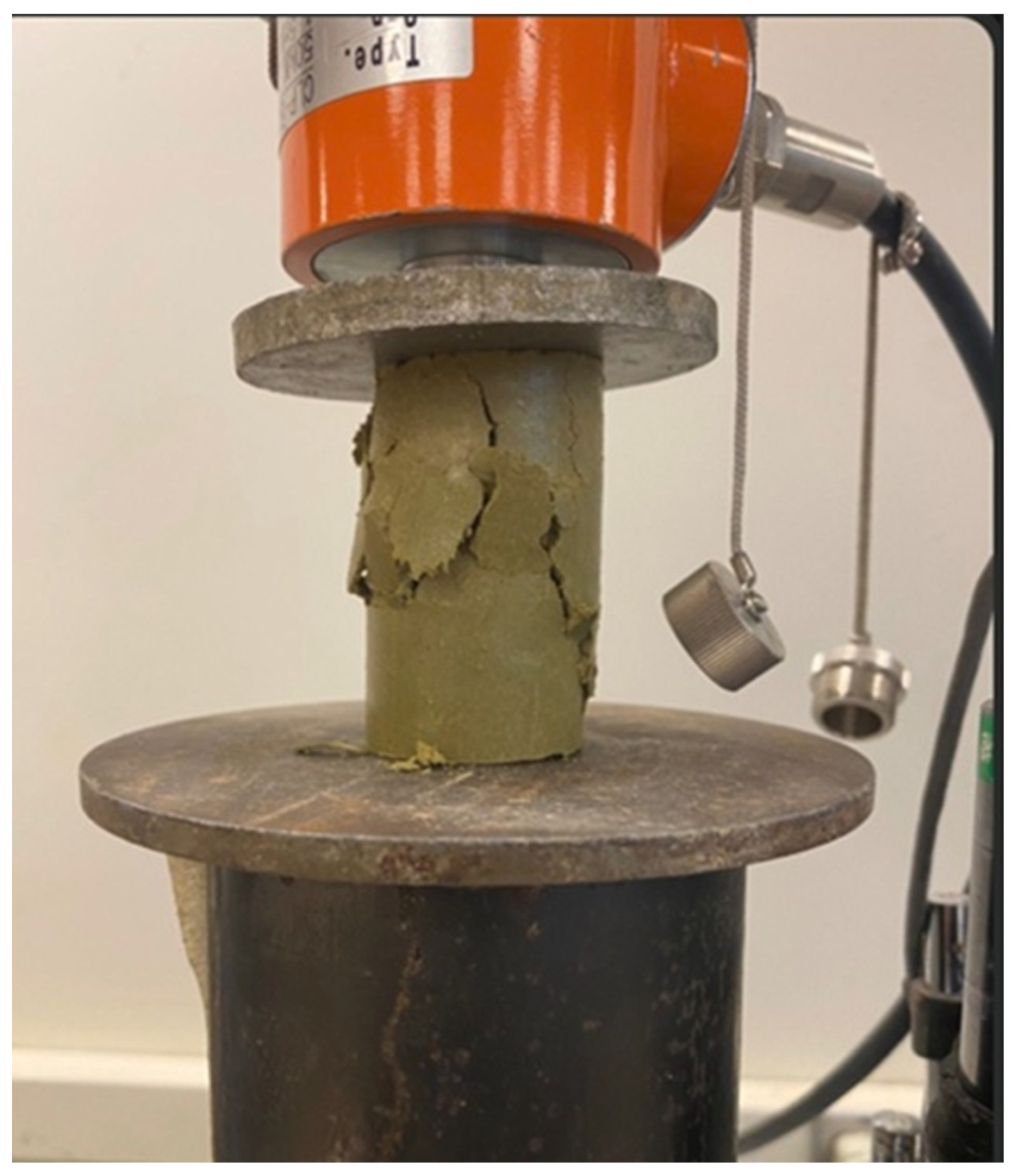 Polymers 17 03244 g010