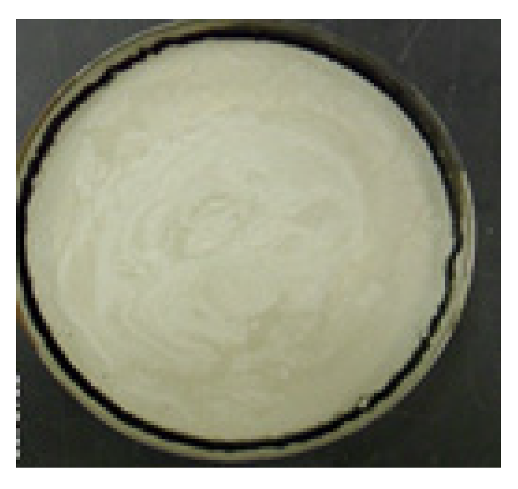 Polymers 17 03244 g015