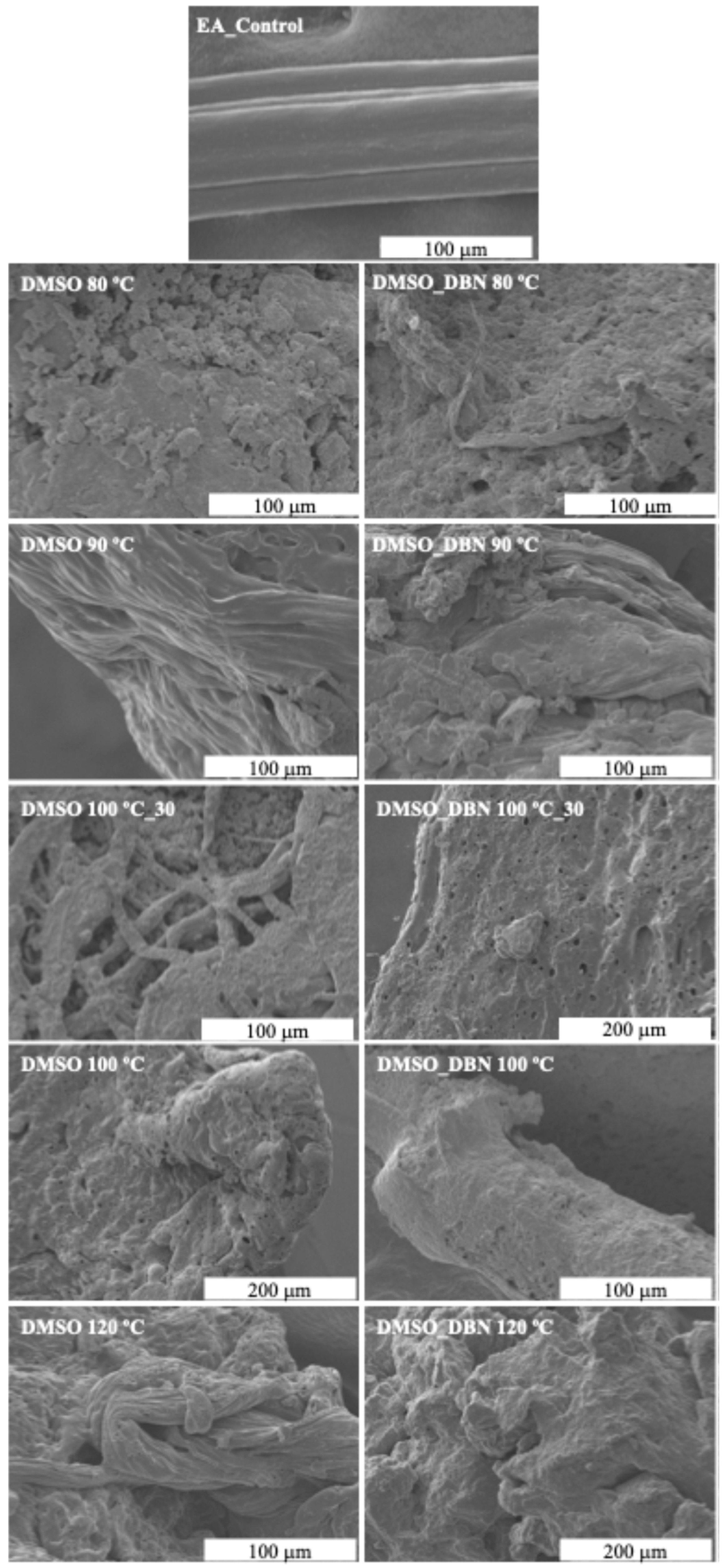 Polymers 17 03247 g004 Polymers 17 03247 g004