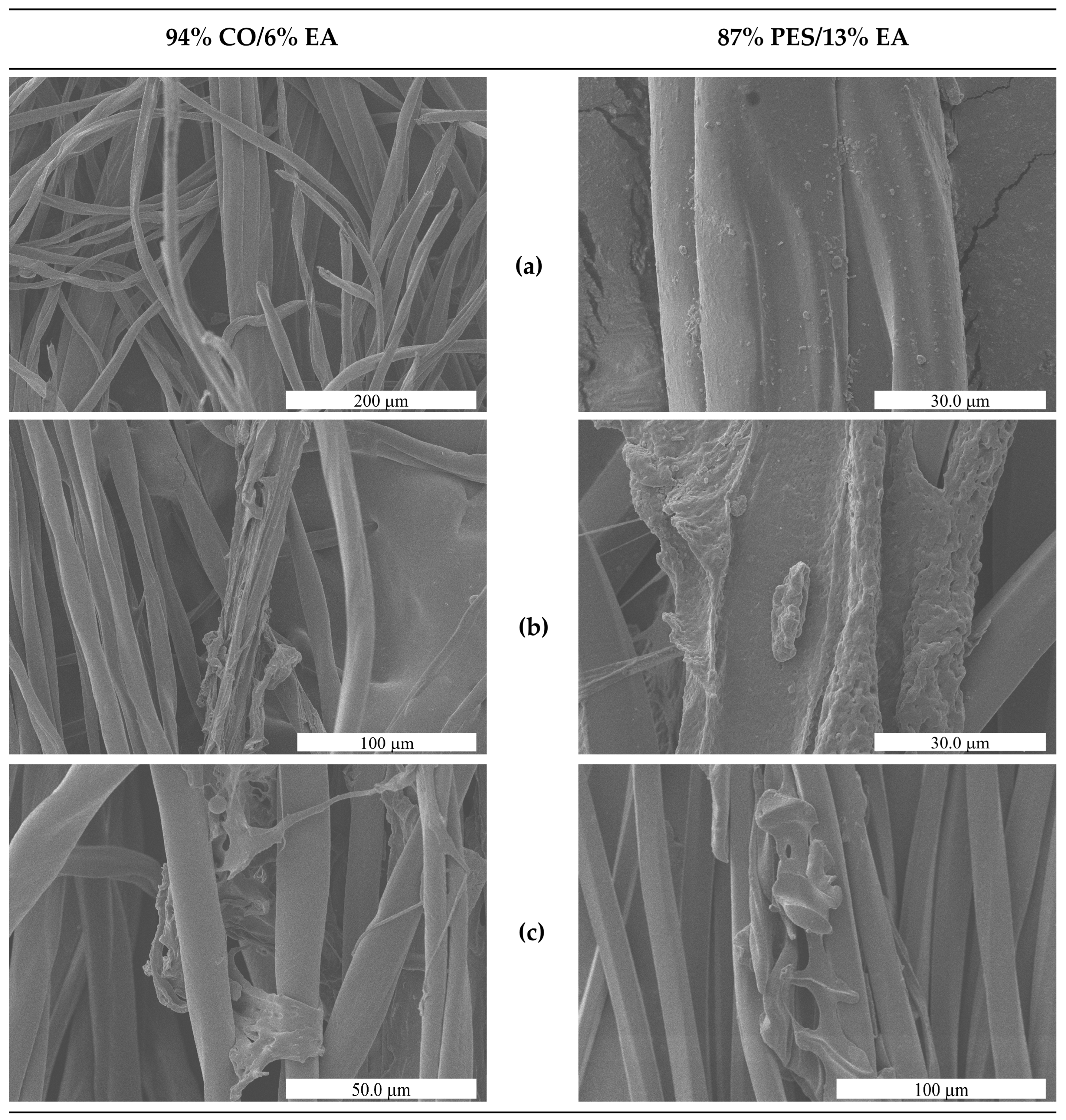 Polymers 17 03247 g007 Polymers 17 03247 g007