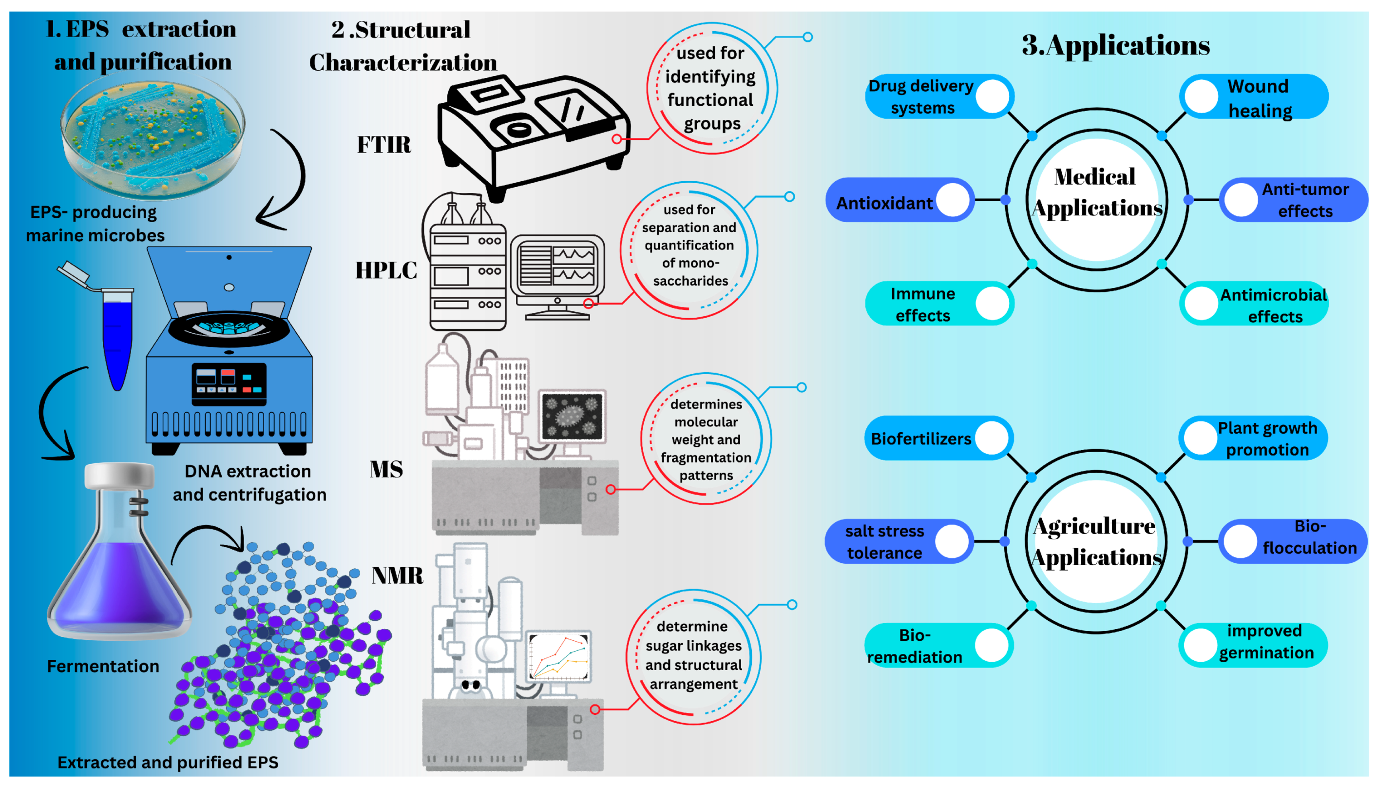 Polymers 17 03249 g005 Polymers 17 03249 g005