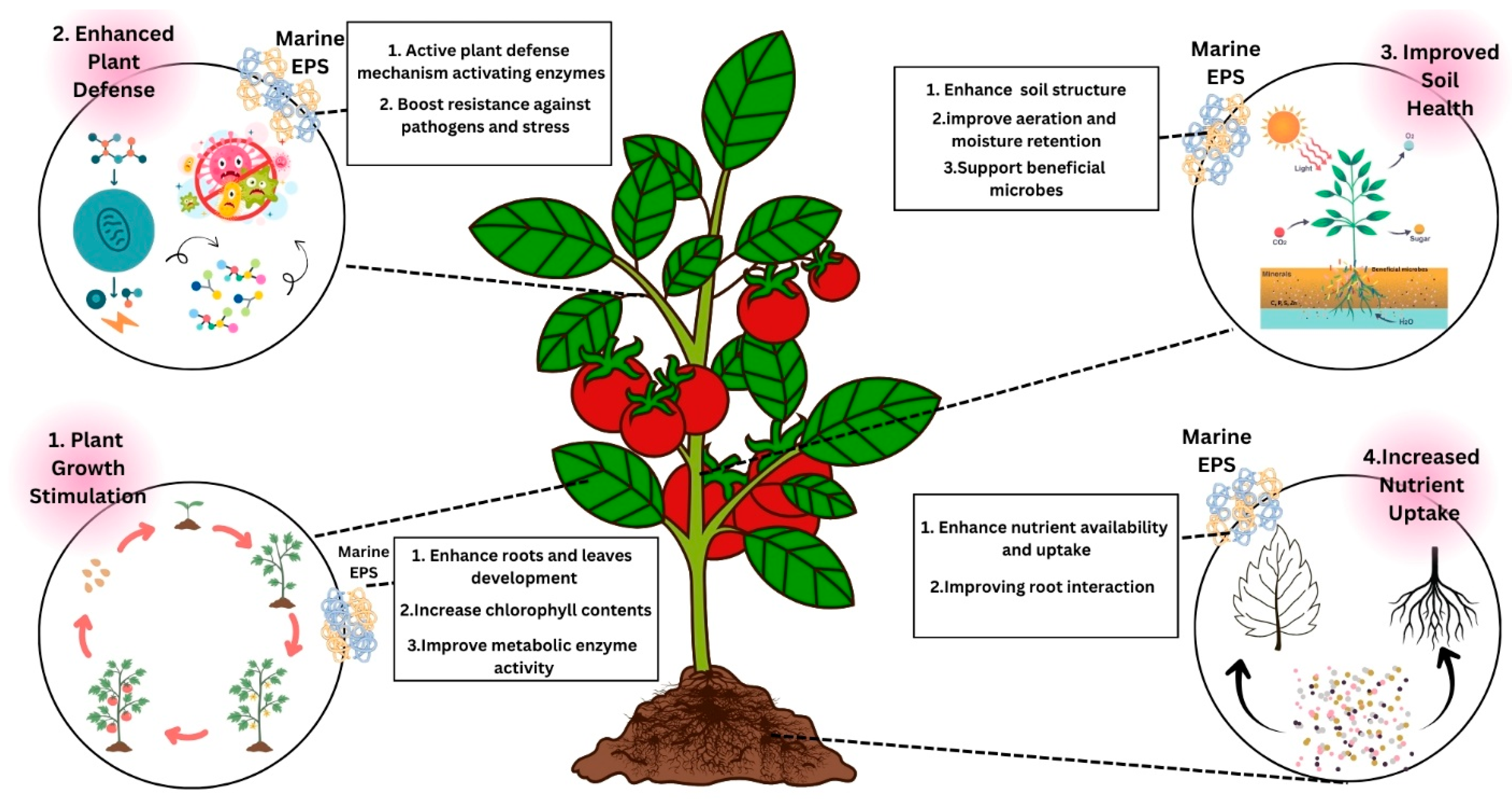 Polymers 17 03249 g007 Polymers 17 03249 g007