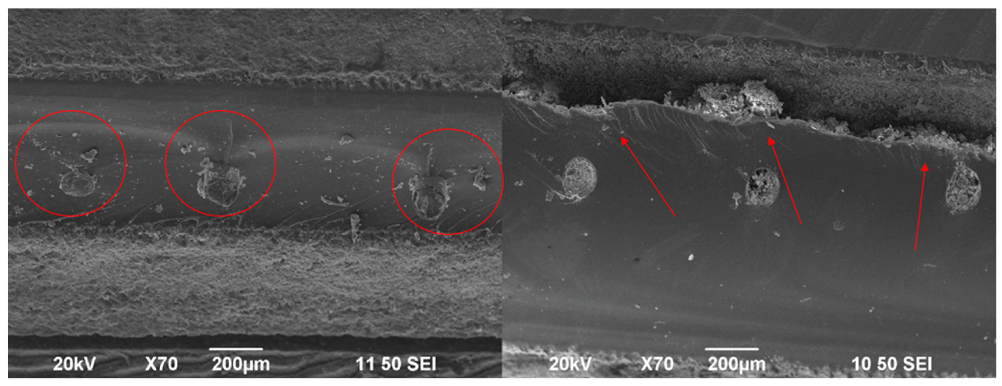 Polymers 17 03253 g003 Polymers 17 03253 g003
