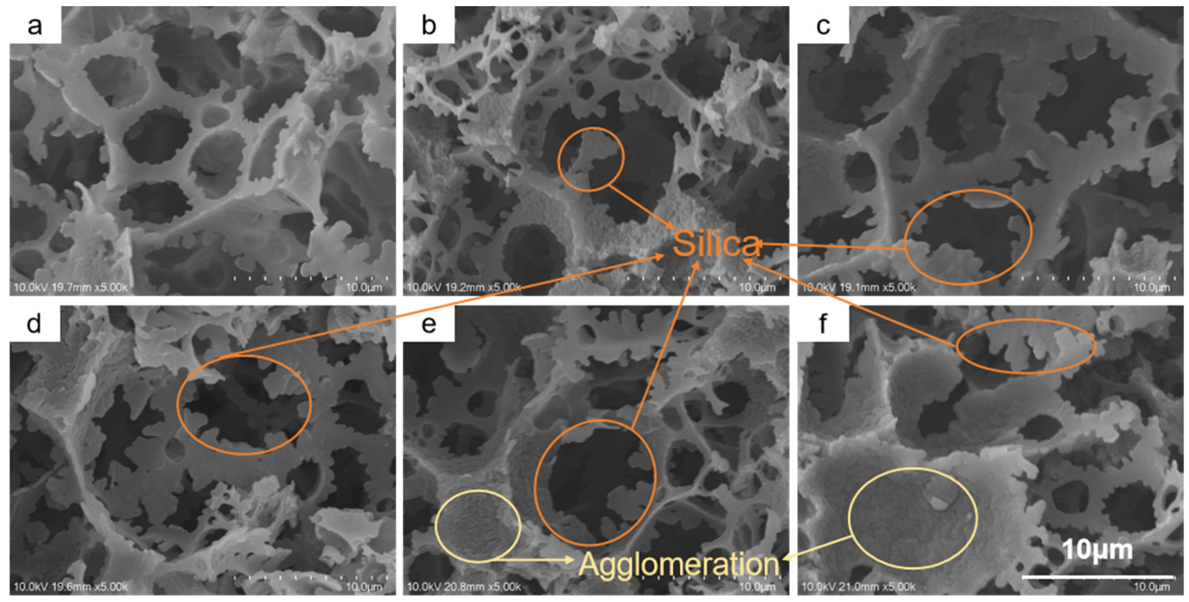 Polymers 17 03254 g002