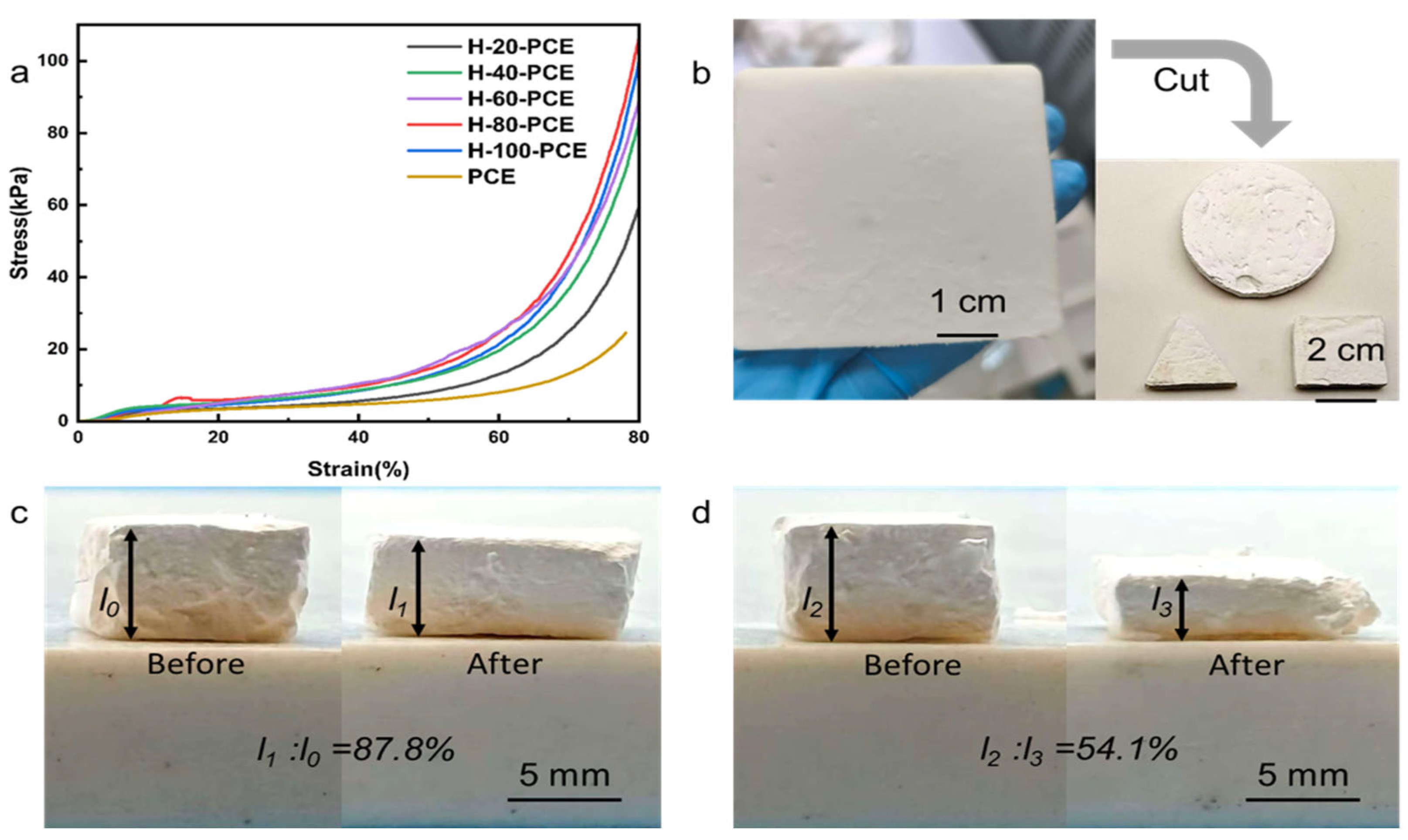 Polymers 17 03254 g004