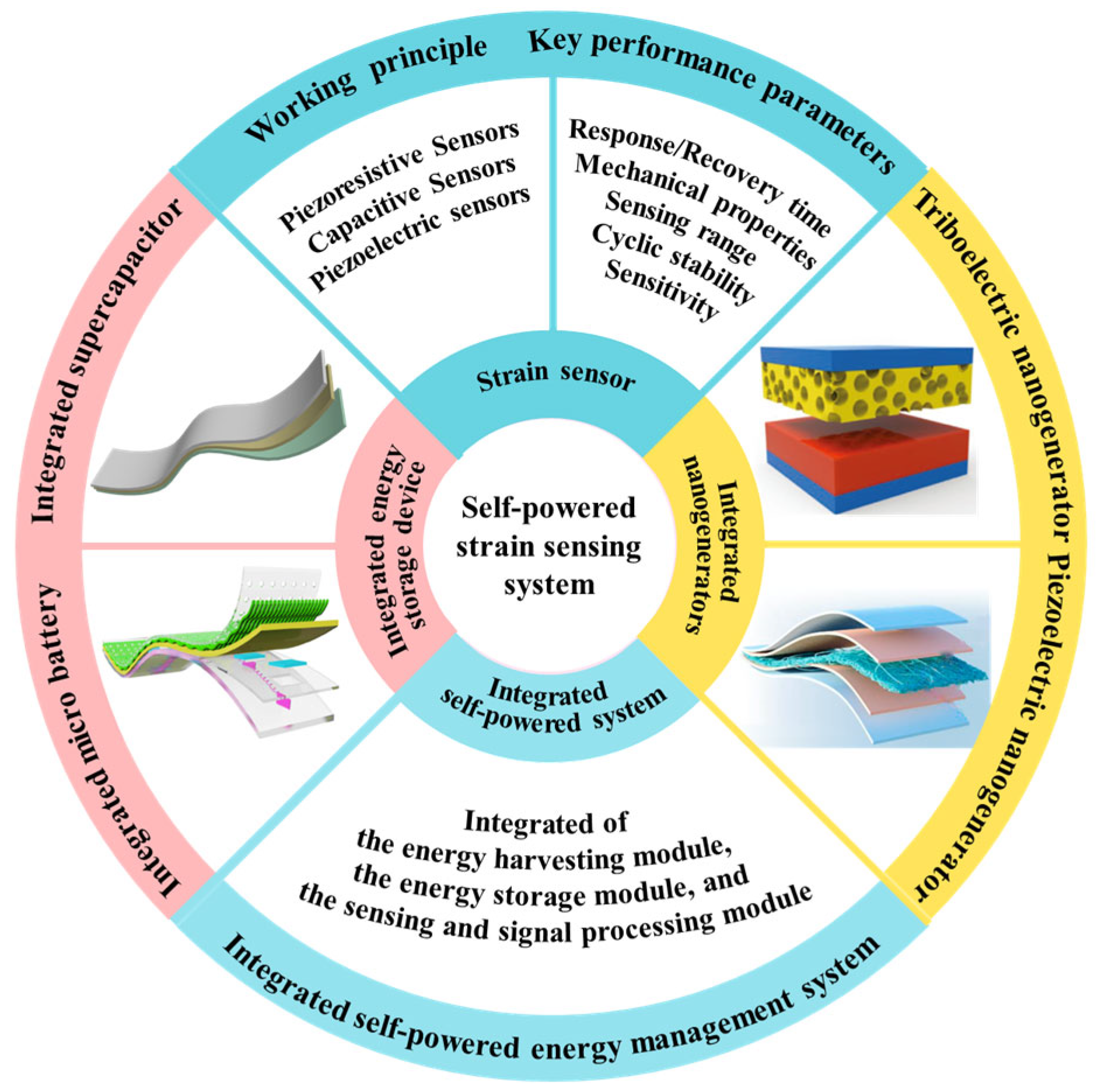 Polymers 17 03256 g002 Polymers 17 03256 g002
