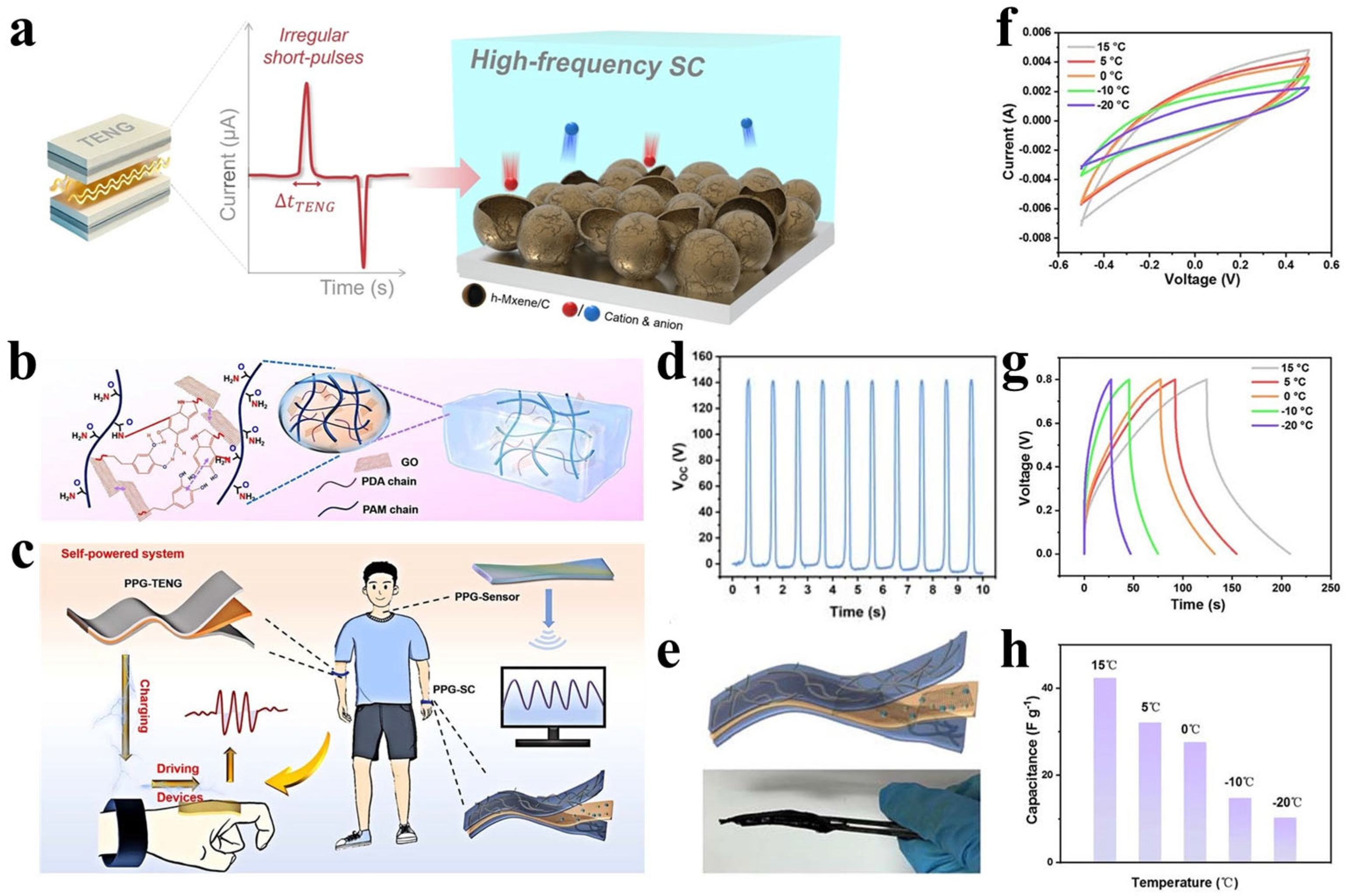 Polymers 17 03256 g014 Polymers 17 03256 g014