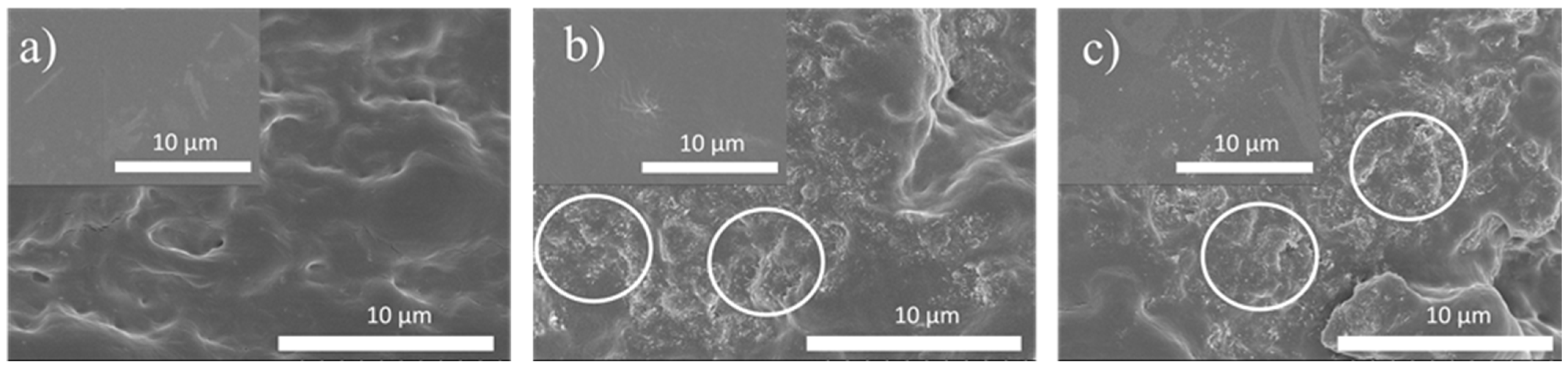 Polymers 17 03259 g002 Polymers 17 03259 g002