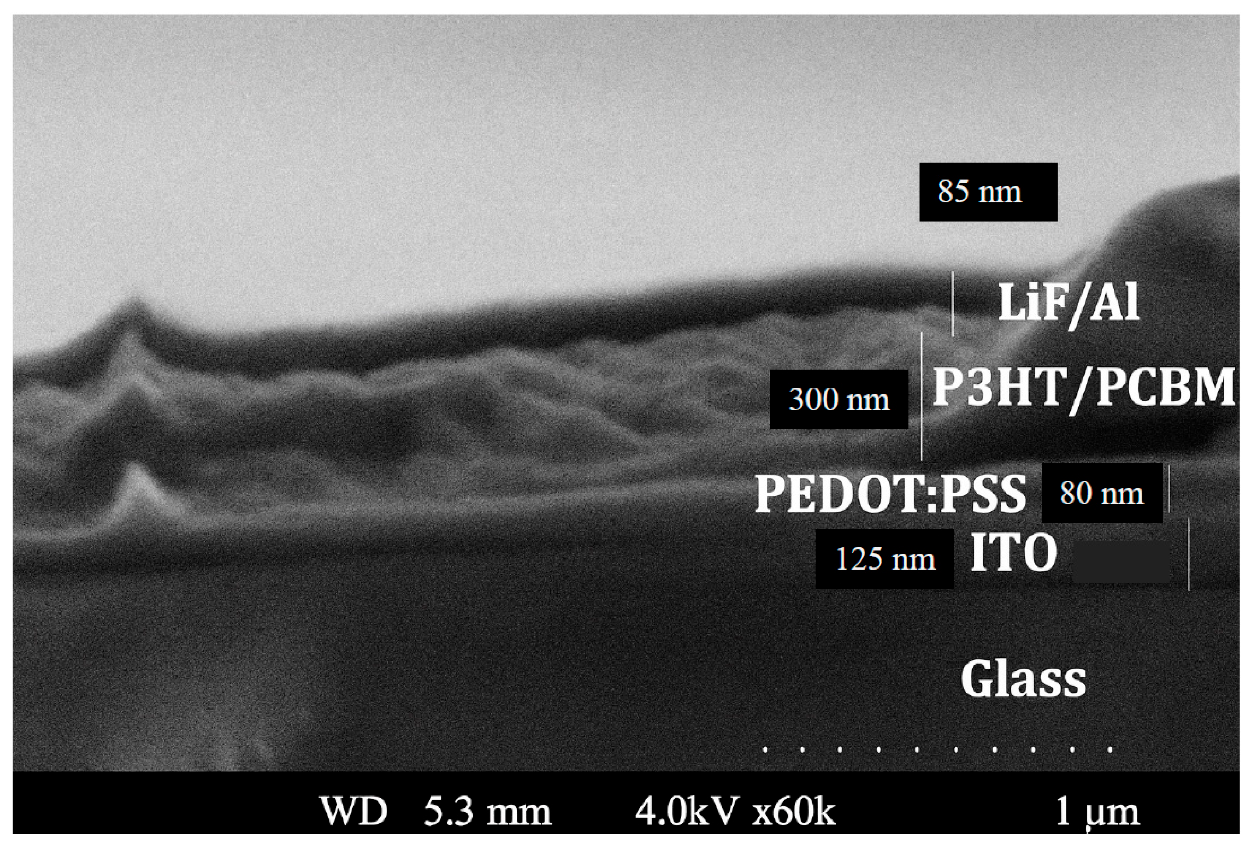 Polymers 17 03262 g003 Polymers 17 03262 g003
