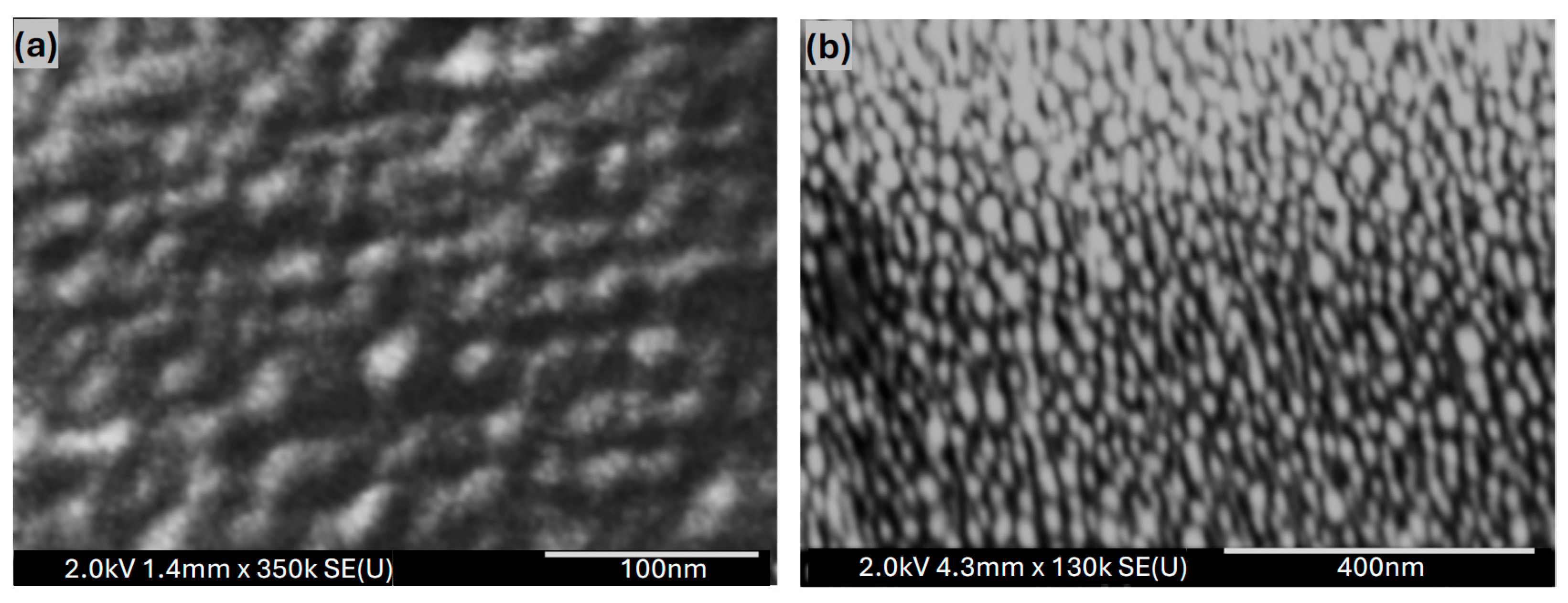 Polymers 17 03262 g006 Polymers 17 03262 g006