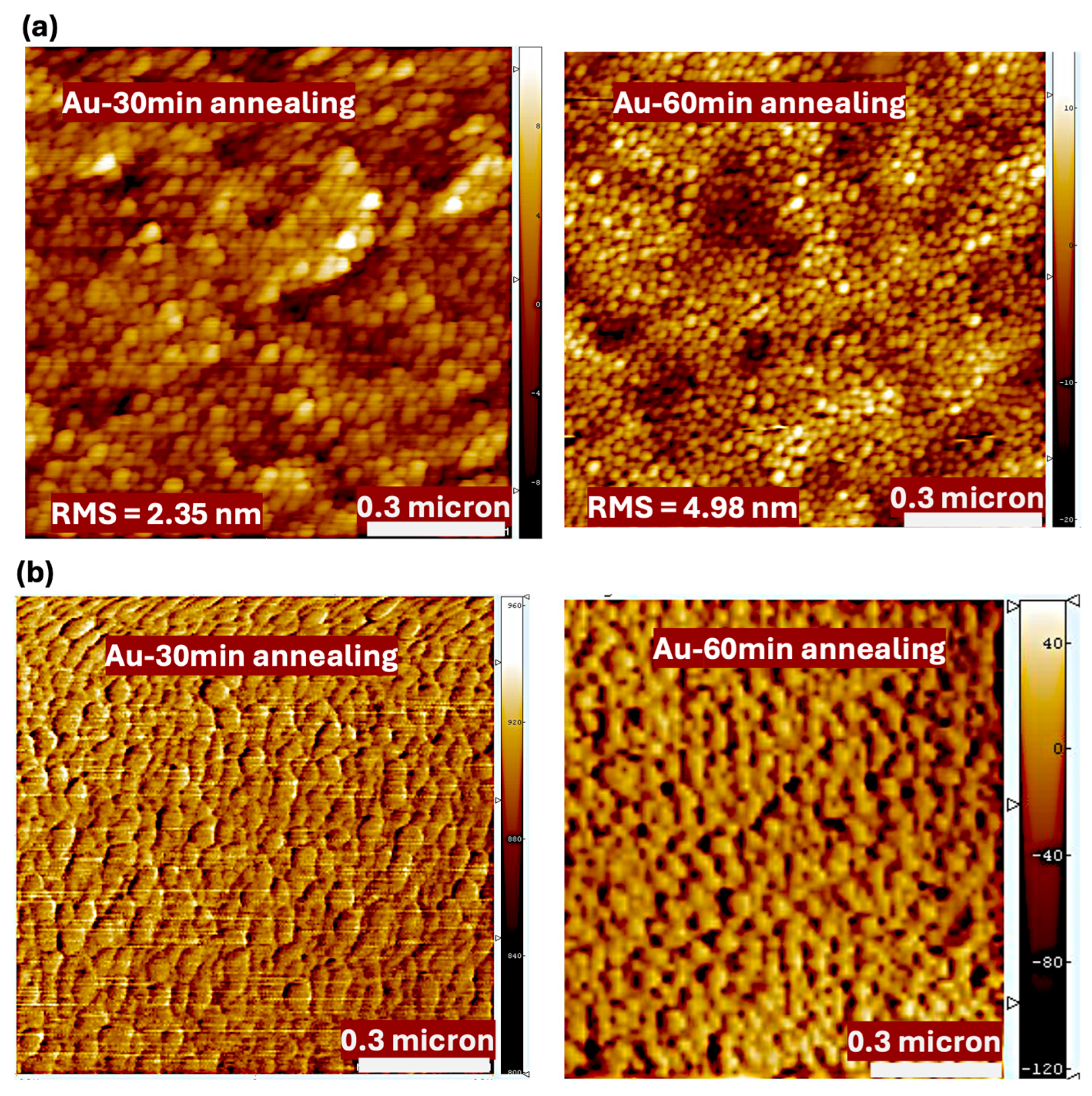 Polymers 17 03262 g007 Polymers 17 03262 g007