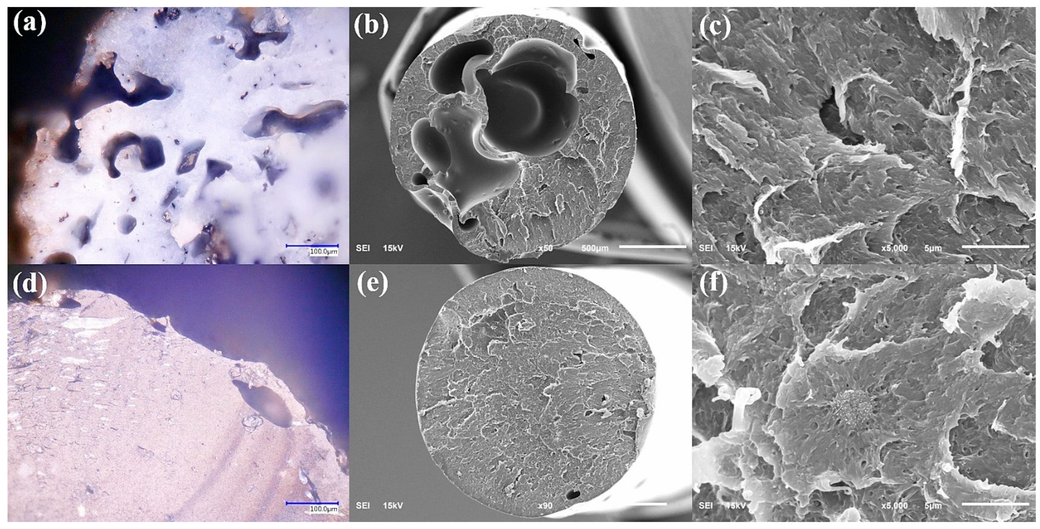 Polymers 17 03263 g007 Polymers 17 03263 g007