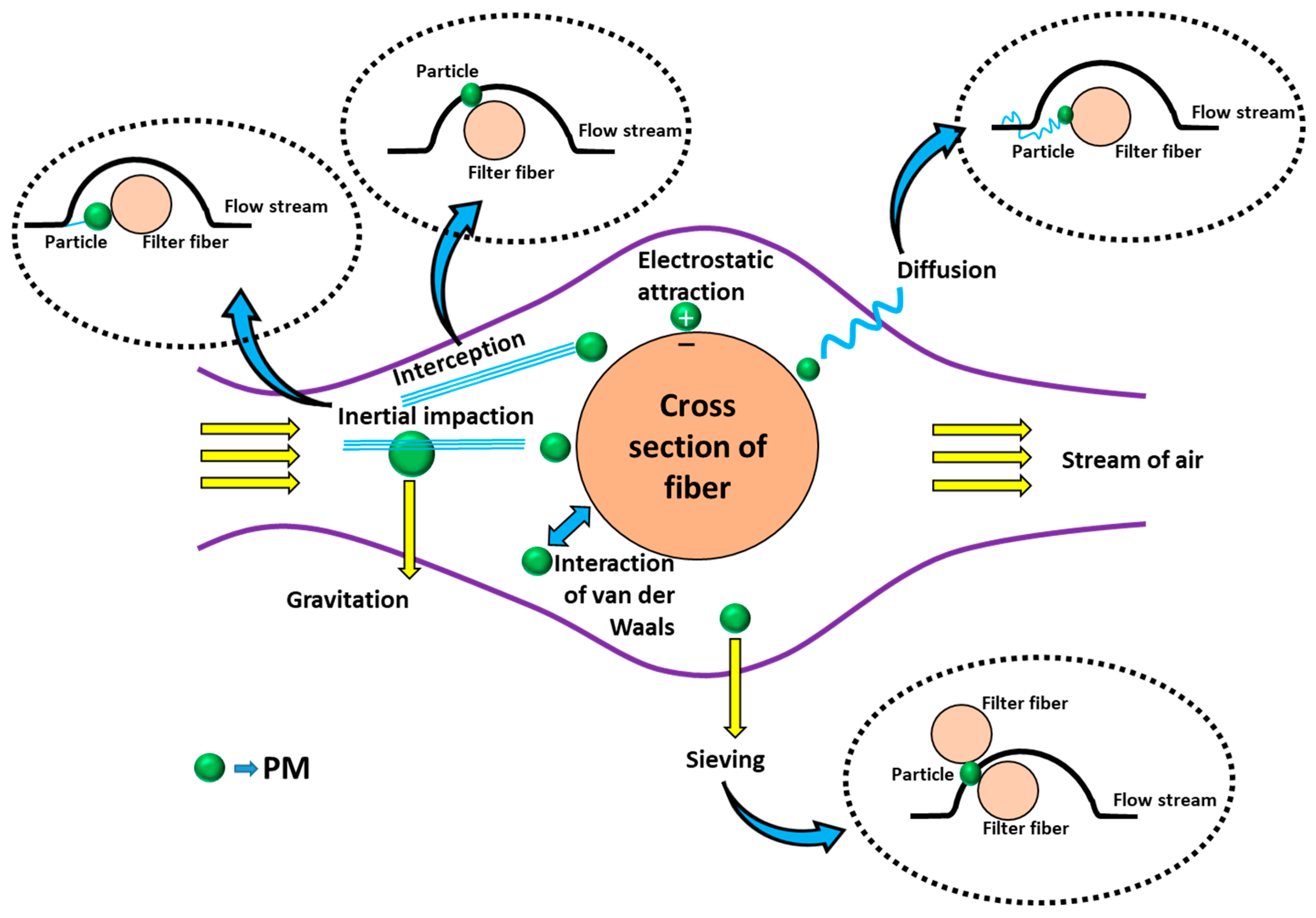 Polymers 17 03265 g004 Polymers 17 03265 g004