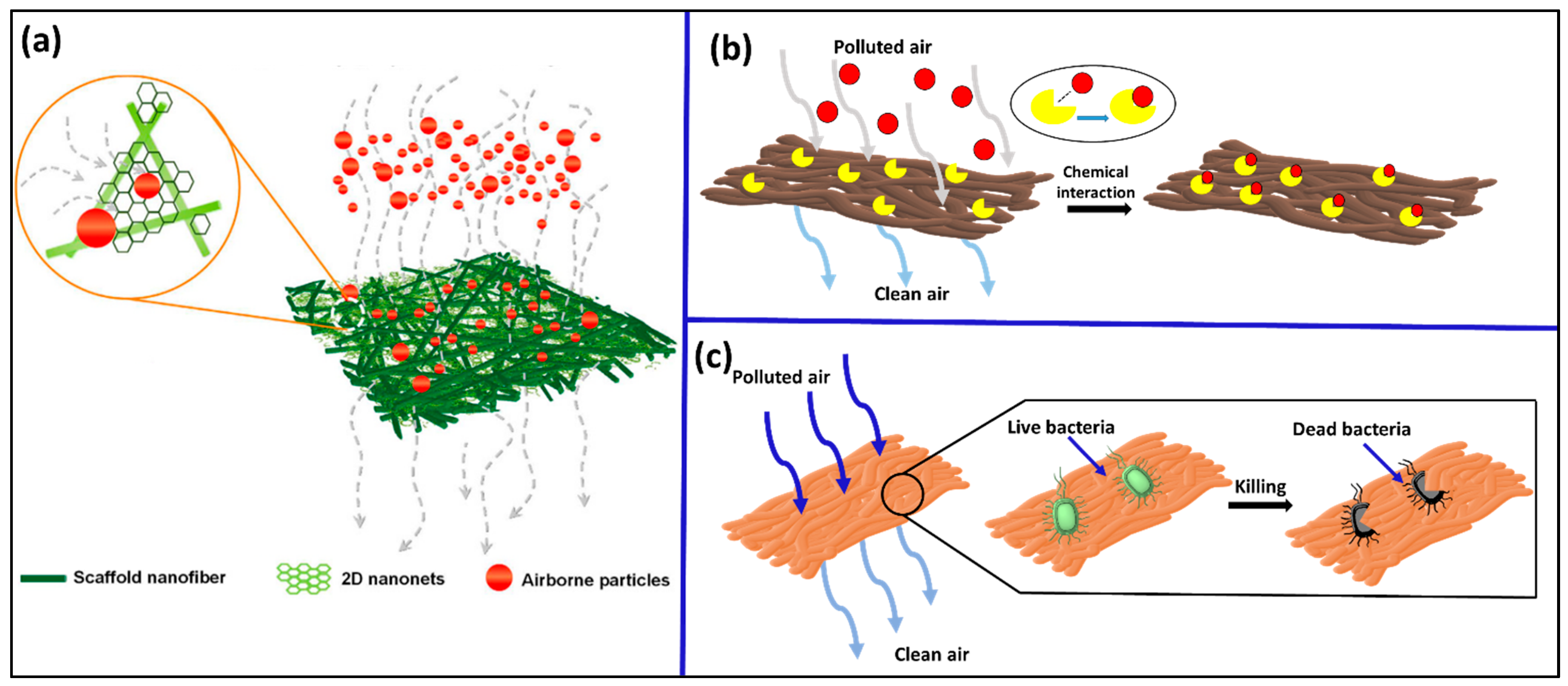 Polymers 17 03265 g005 Polymers 17 03265 g005