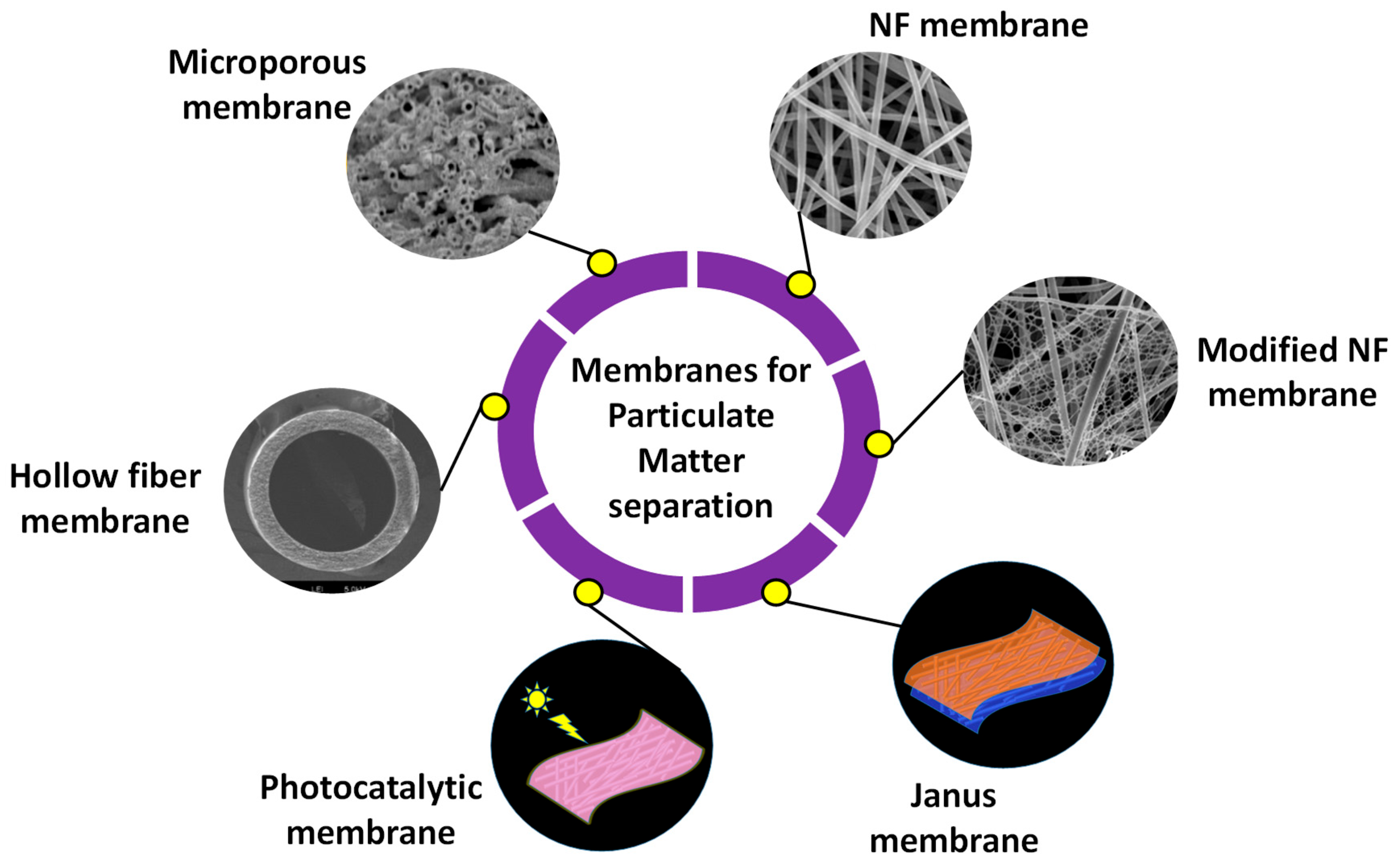 Polymers 17 03265 g008 Polymers 17 03265 g008