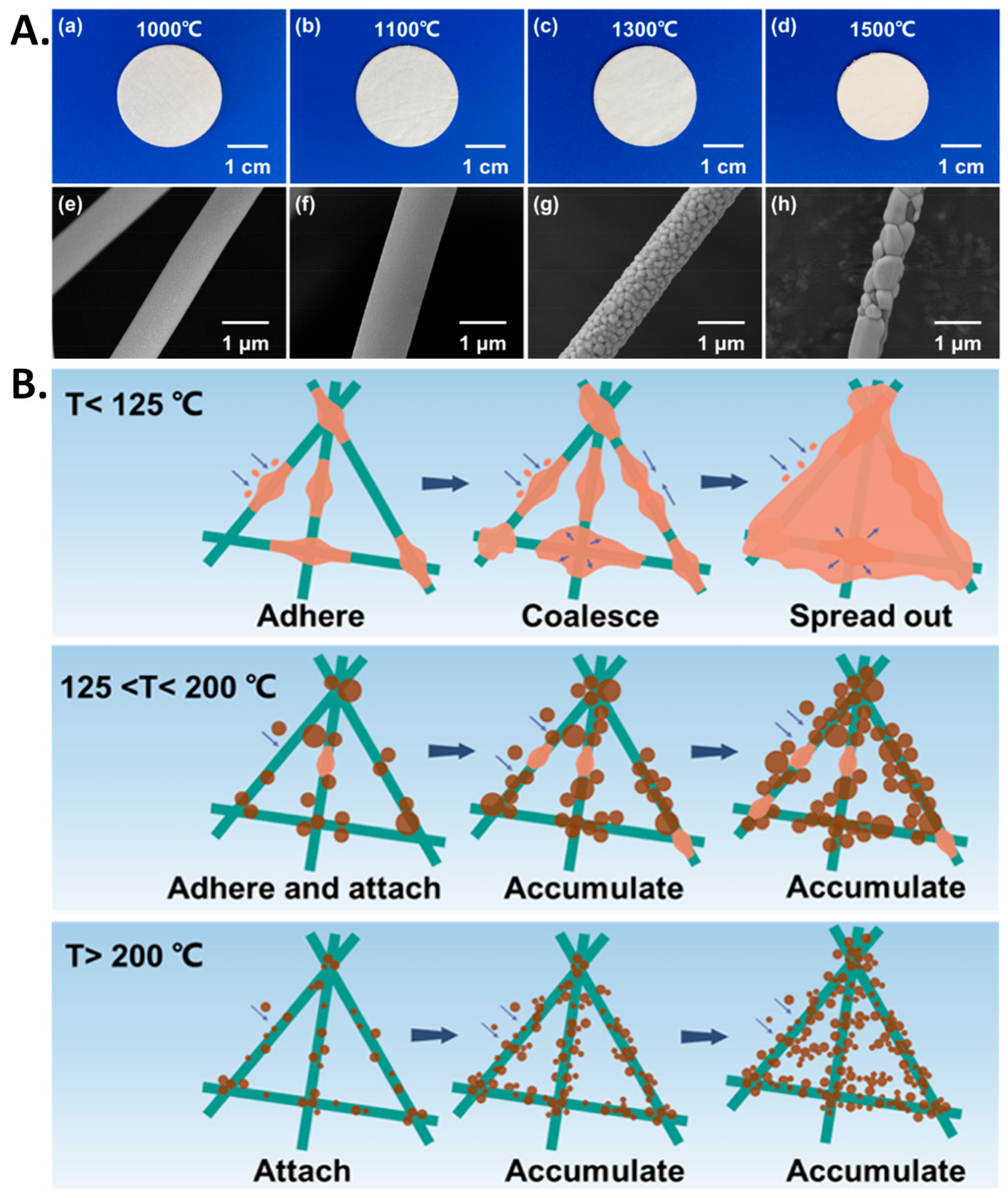 Polymers 17 03265 g013 Polymers 17 03265 g013
