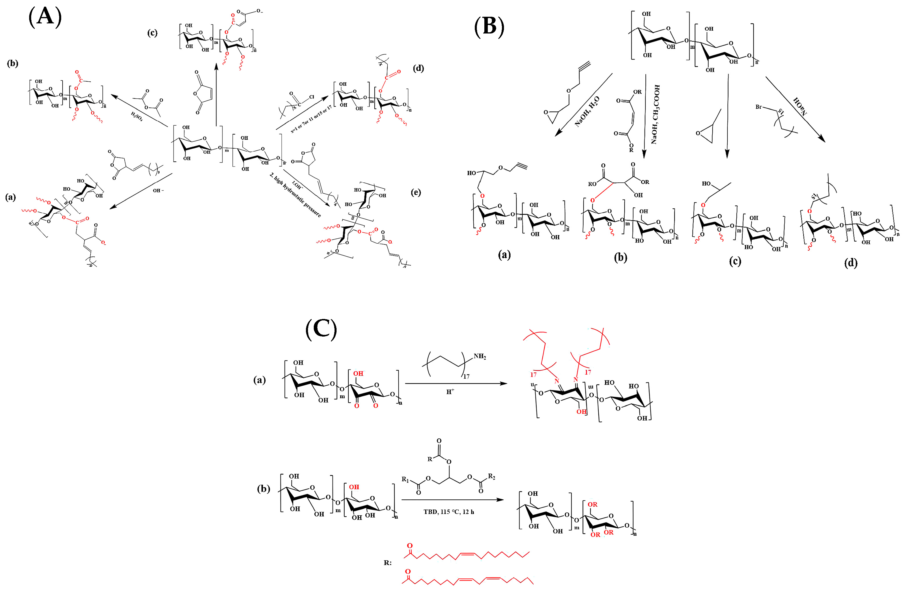 Polymers 17 03266 g006 Polymers 17 03266 g006