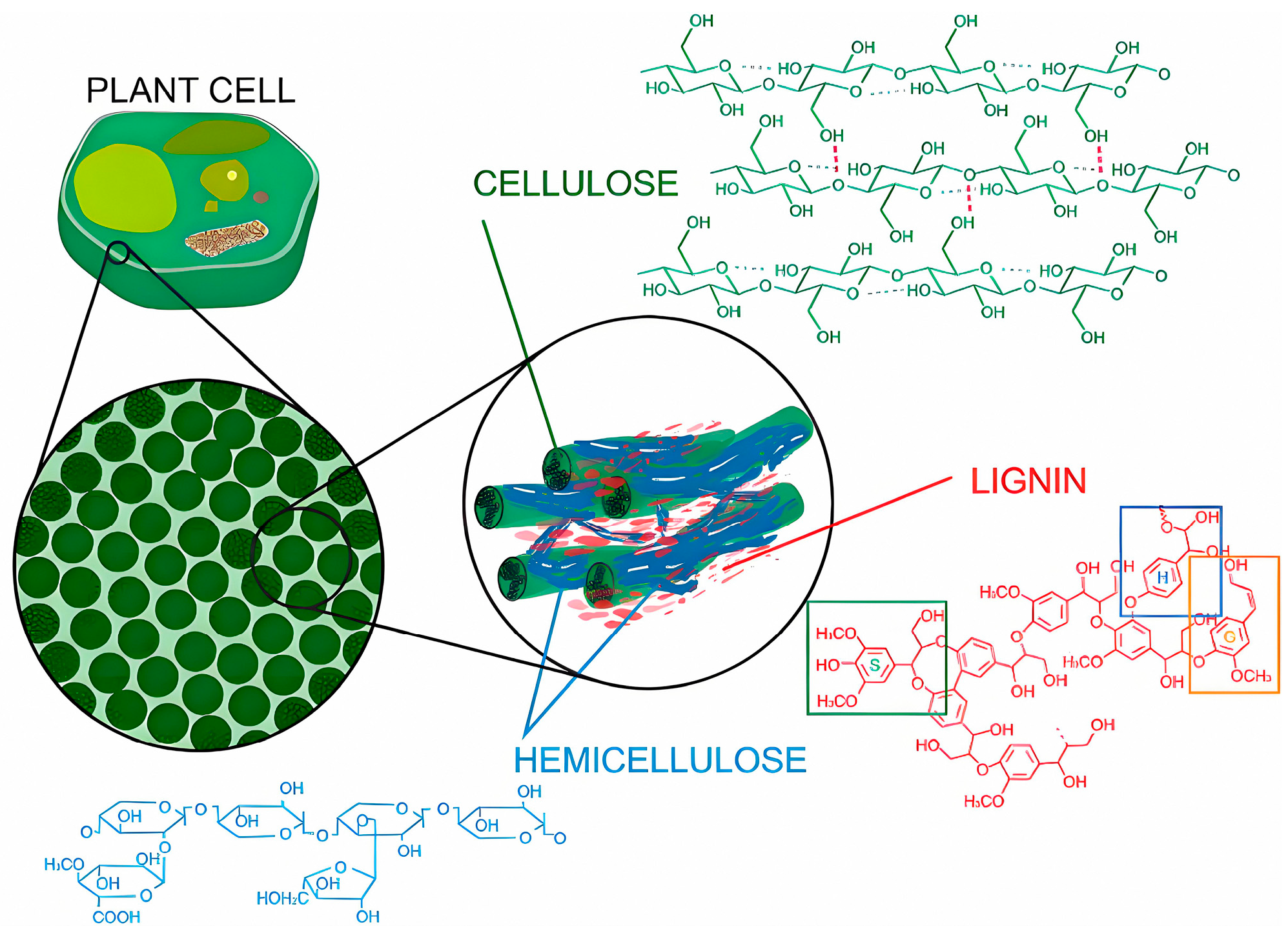 Polymers 17 03266 g007 Polymers 17 03266 g007