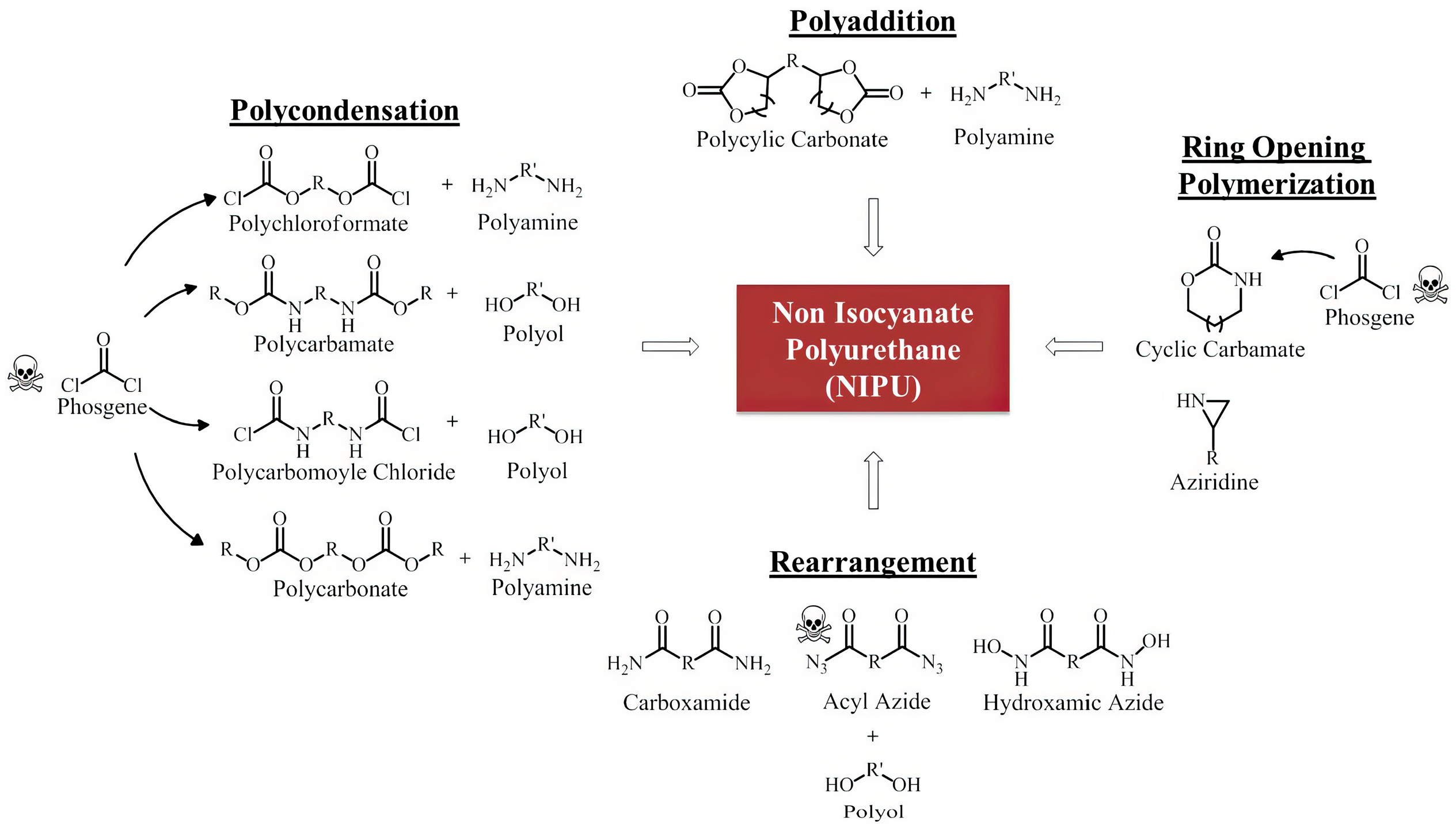 Polymers 17 03266 g019 Polymers 17 03266 g019