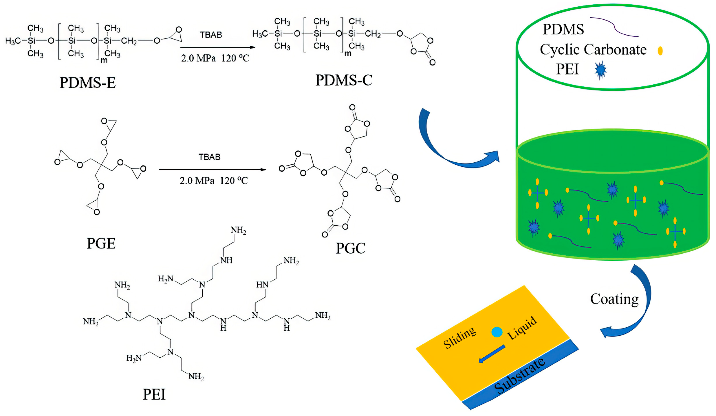 Polymers 17 03266 g020 Polymers 17 03266 g020