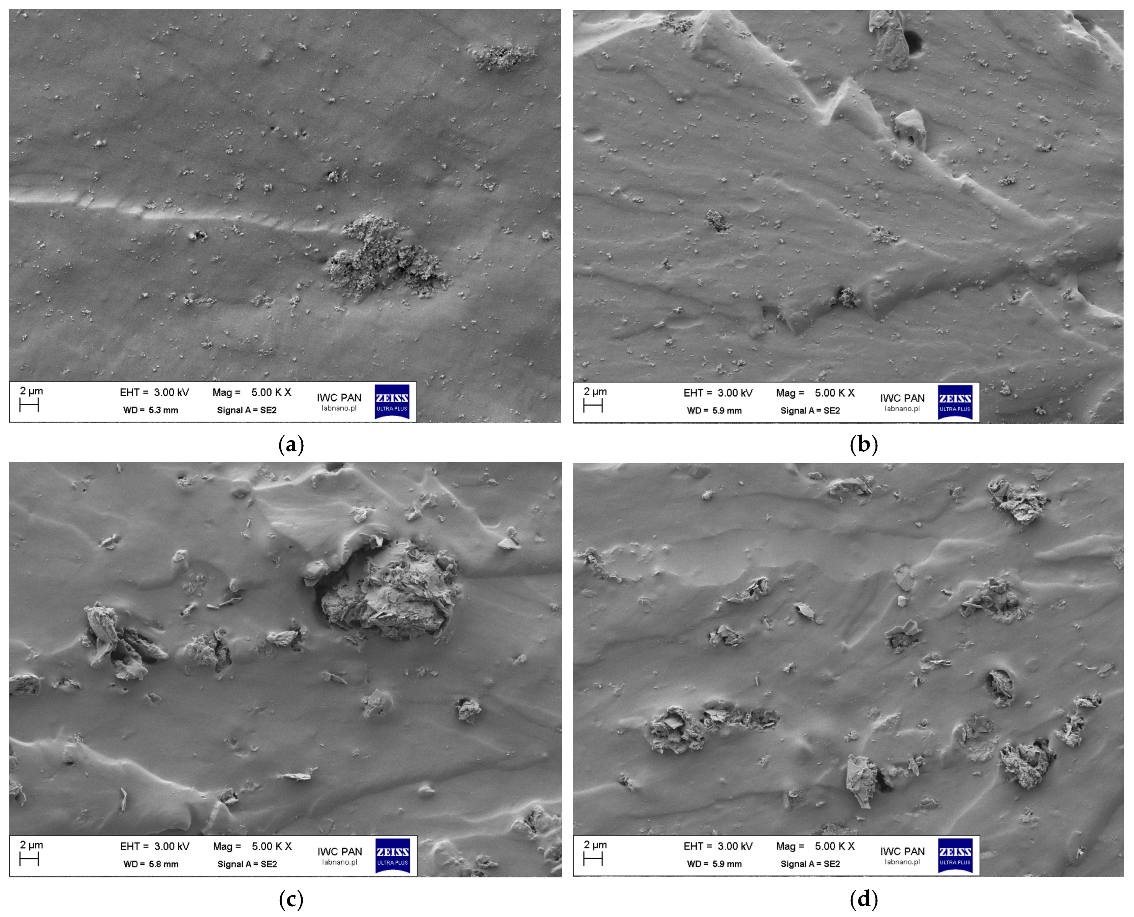 Polymers 17 03271 g006 Polymers 17 03271 g006