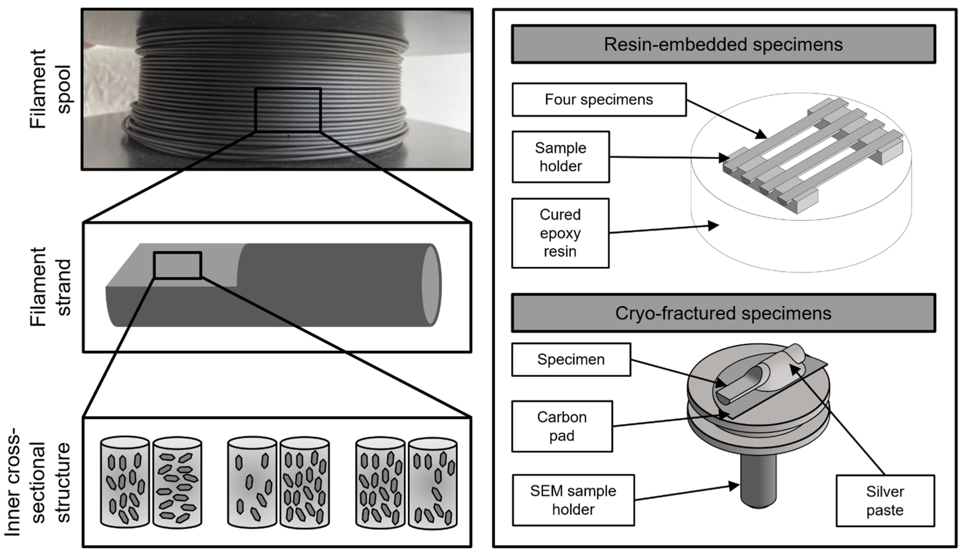 Polymers 17 03273 g002 Polymers 17 03273 g002