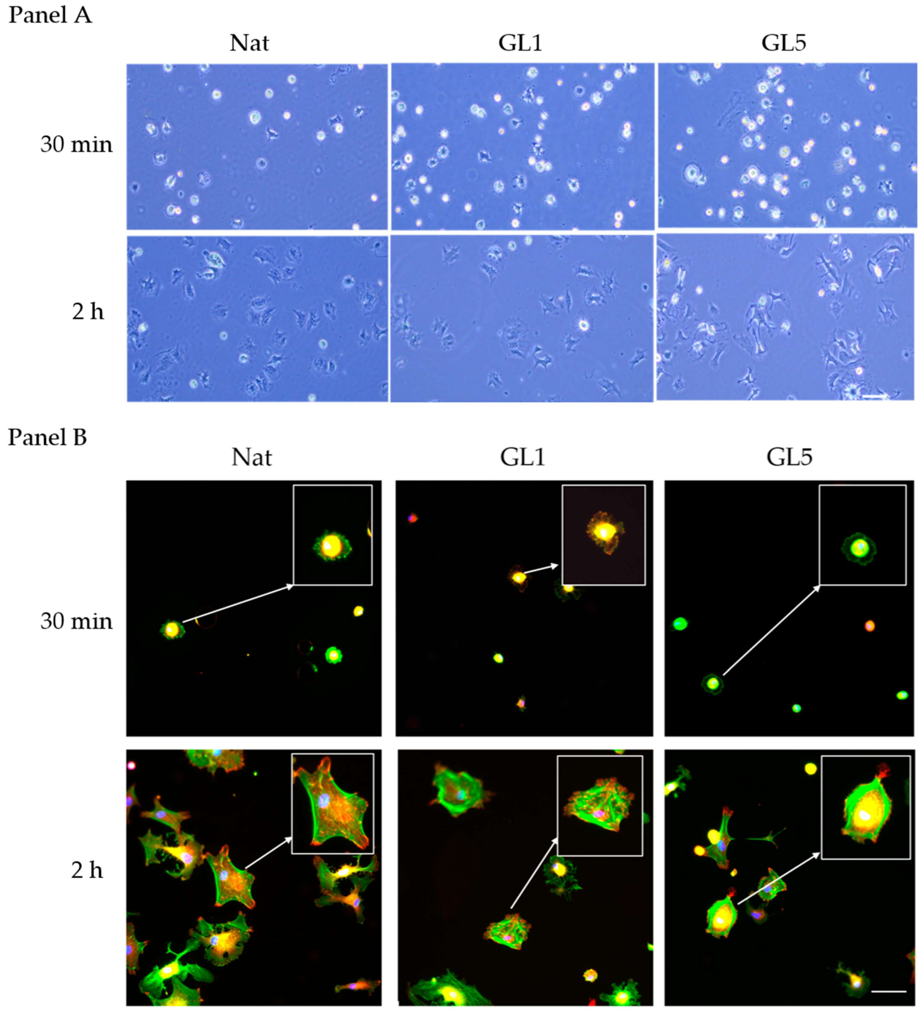 Polymers 17 03275 g001