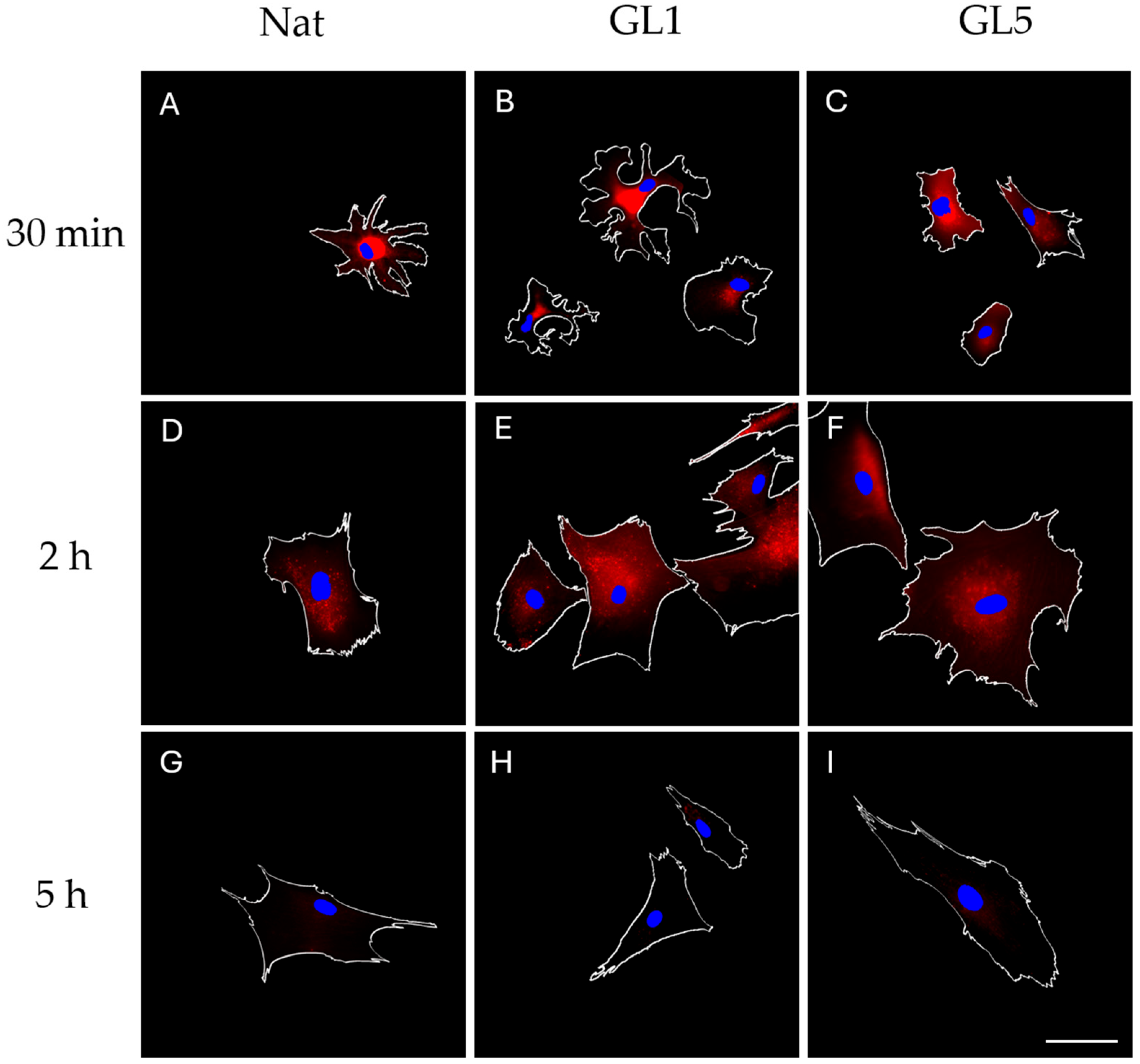 Polymers 17 03275 g003