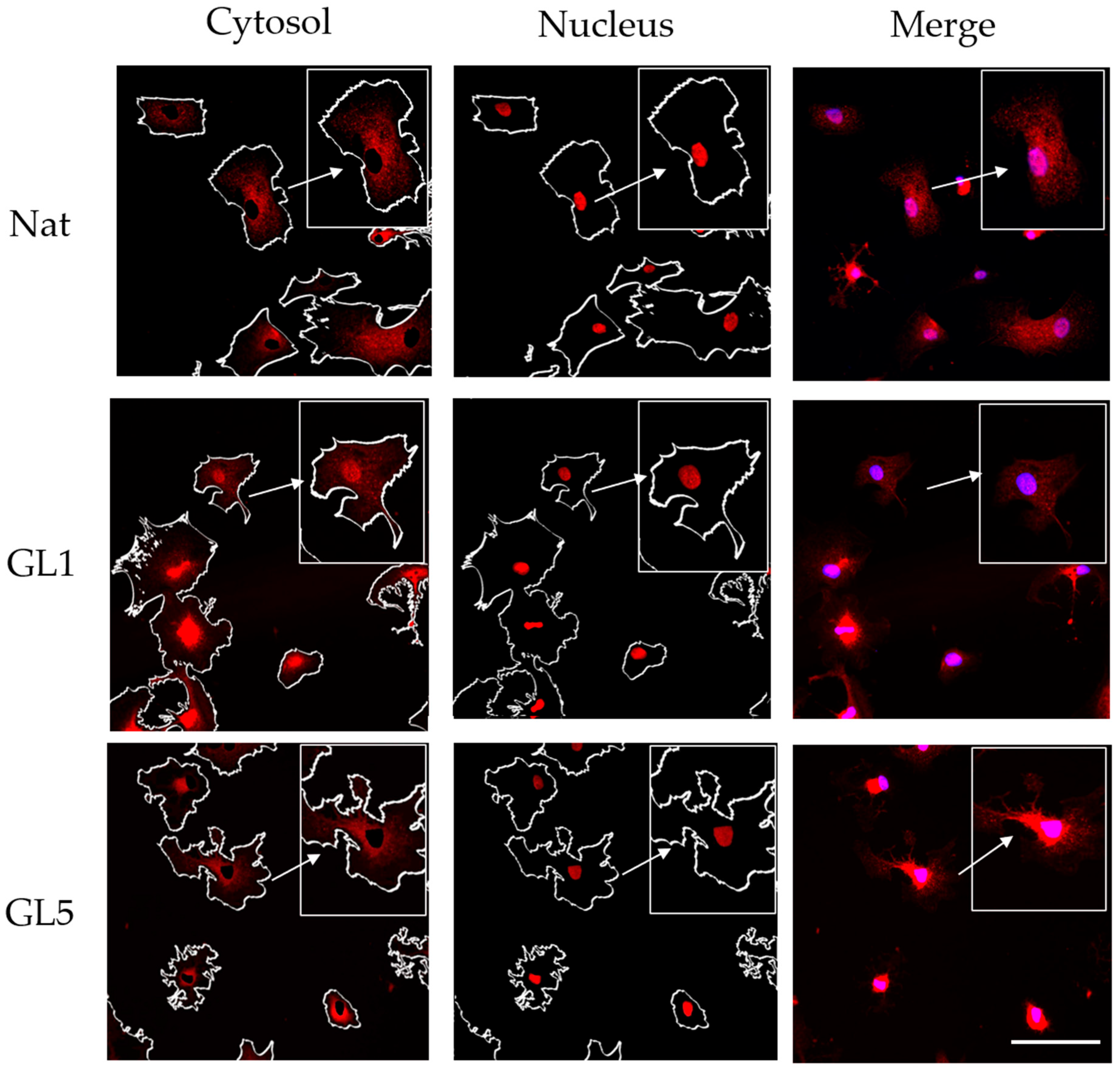 Polymers 17 03275 g006