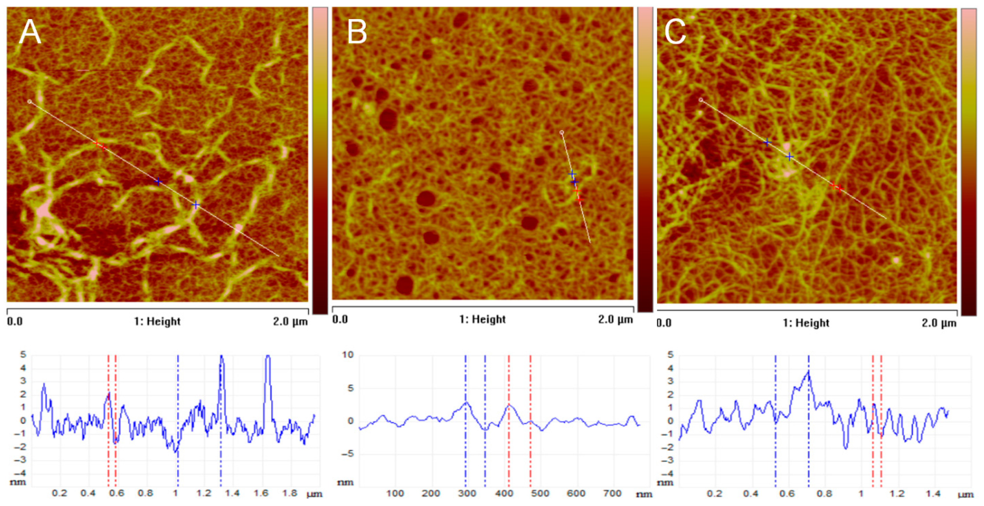 Polymers 17 03275 g010