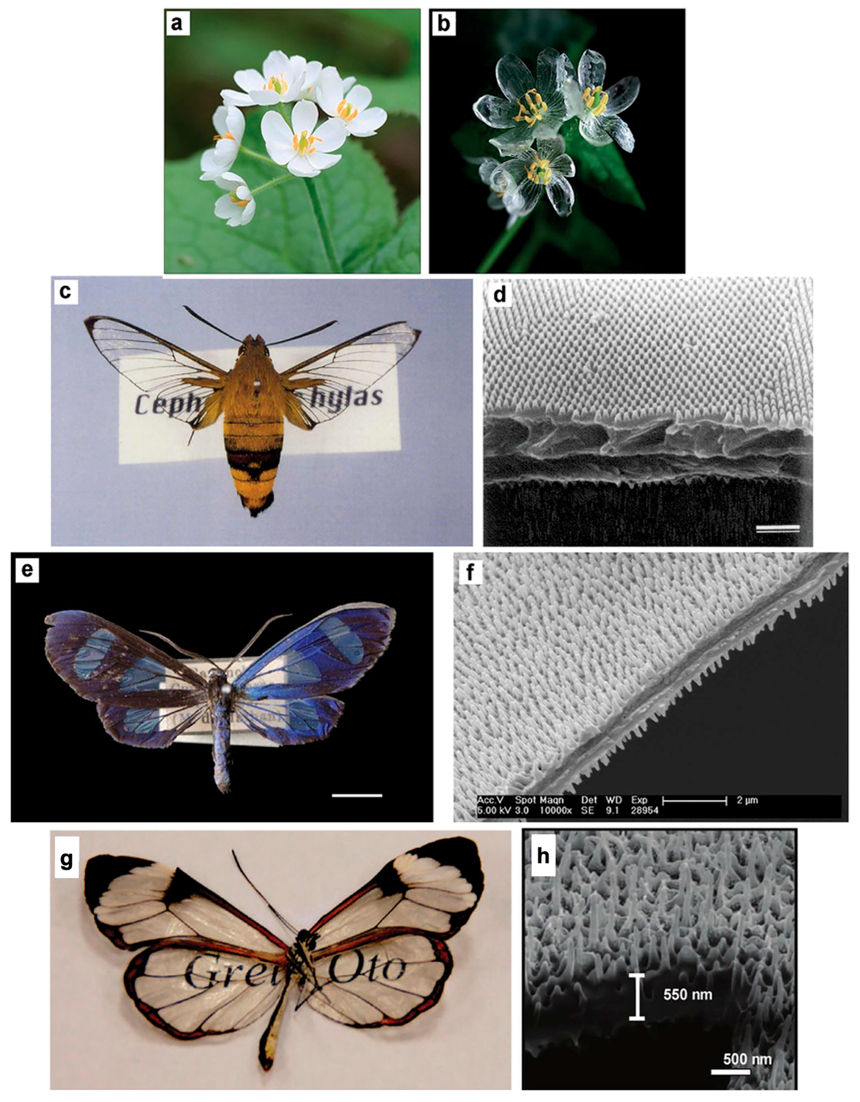 Polymers 17 03276 g001