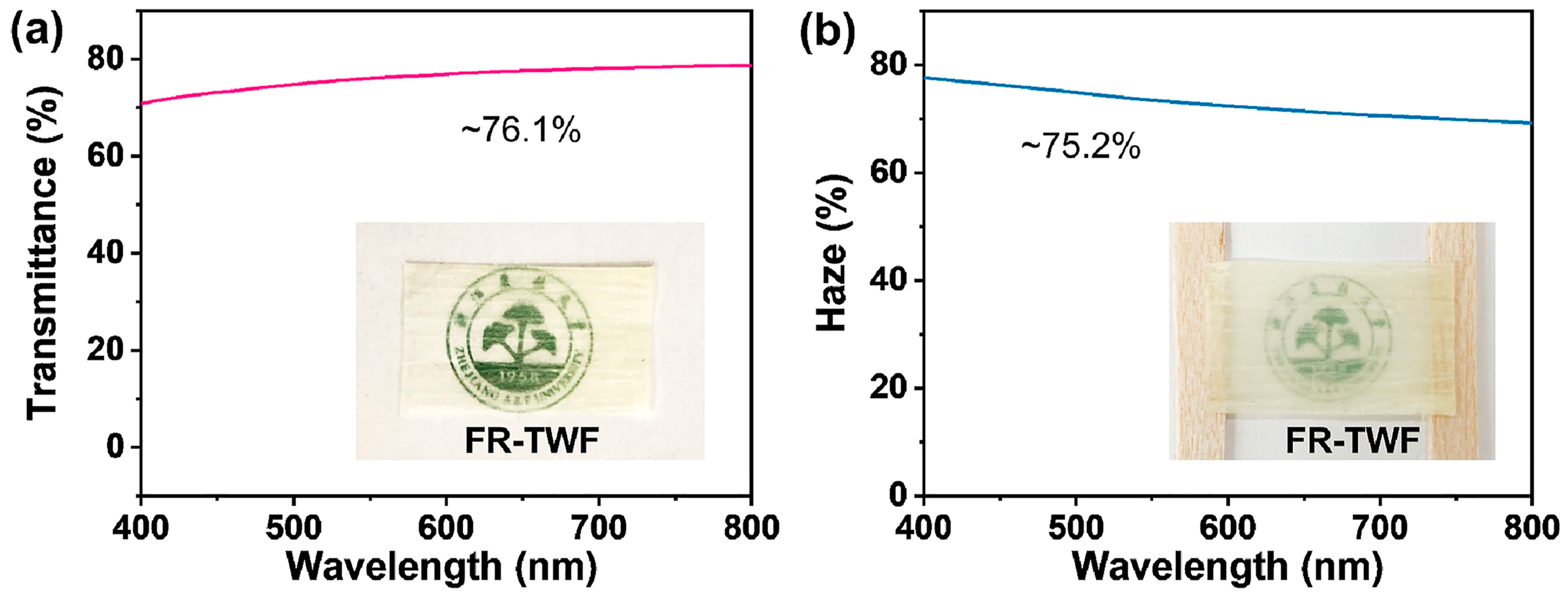 Polymers 17 03276 g004